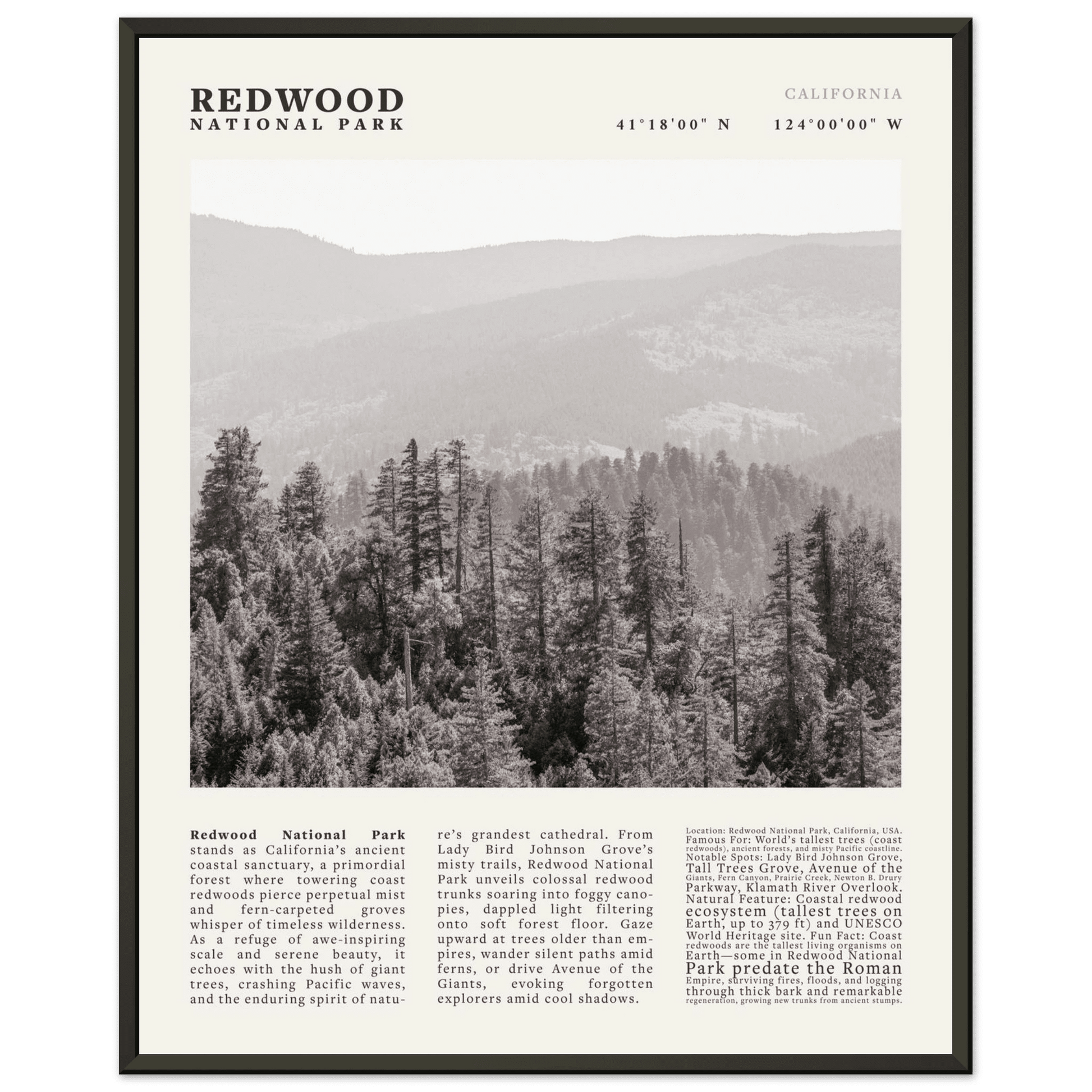 Redwood National Park Poster Black and White – Vintage Foggy Redwood Forest Print - Evergreen Posters