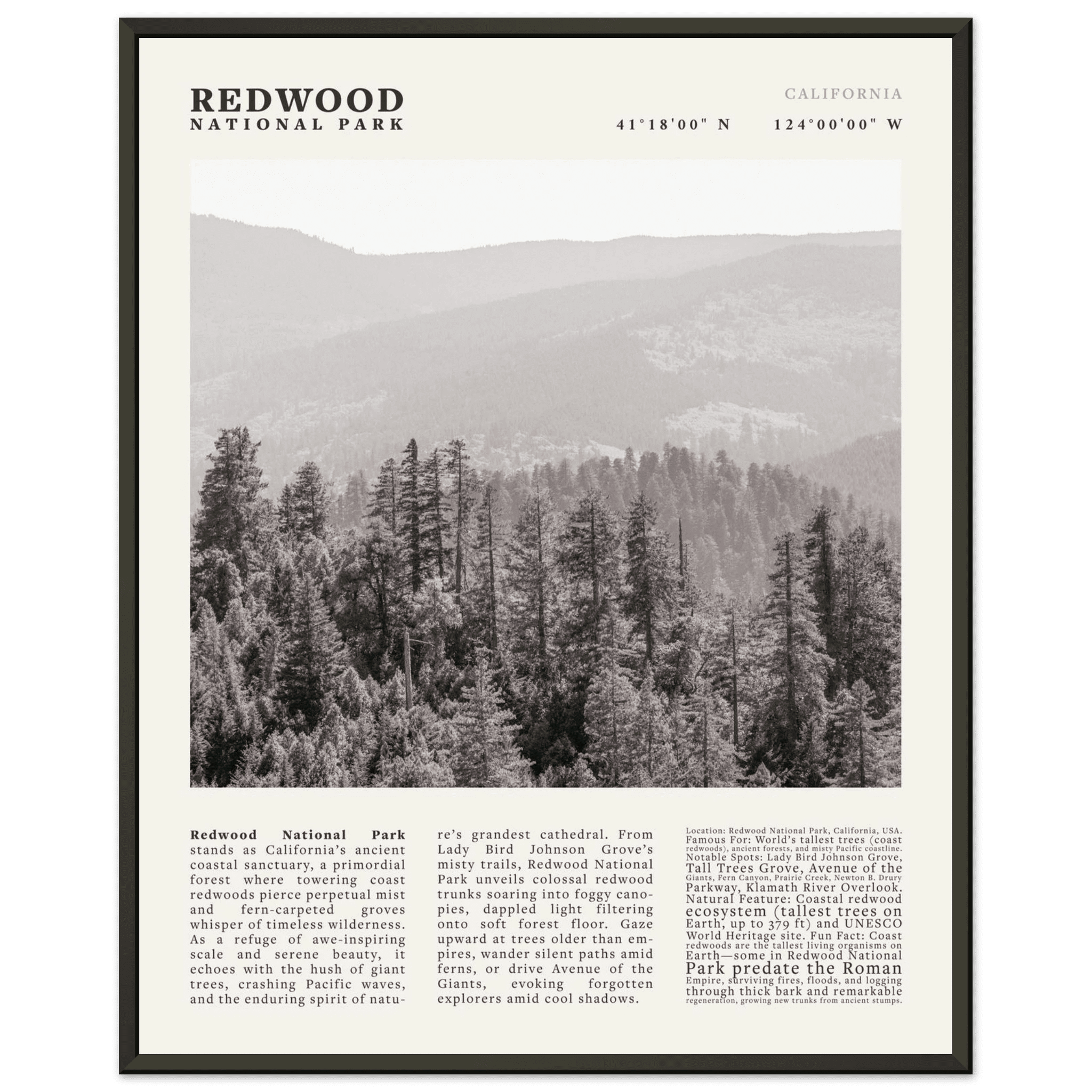 Redwood National Park Poster Black and White – Vintage Foggy Redwood Forest Print - Evergreen Posters