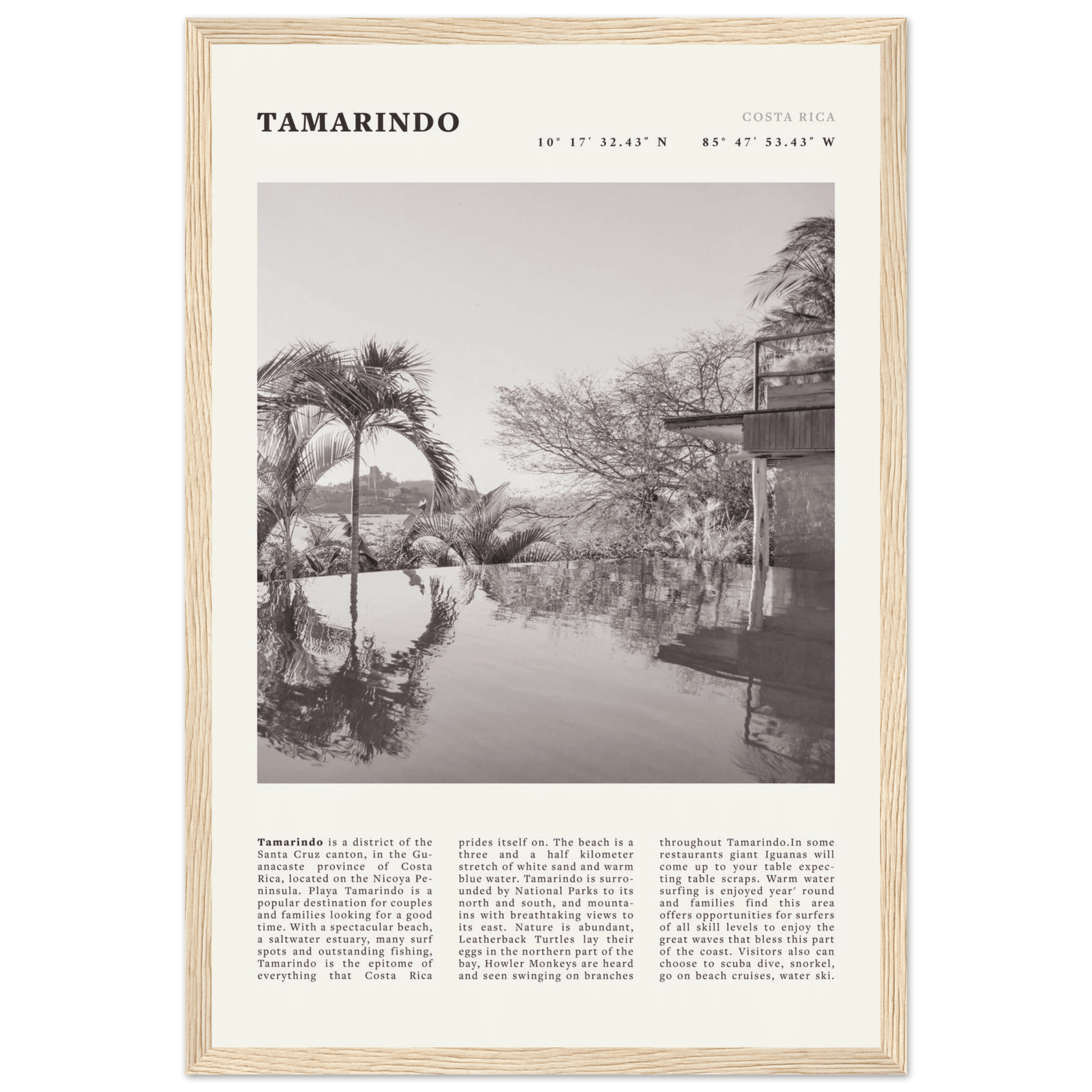 Tamarindo Poster | Black & White Costa Rica Beach Wall Art | Surf Travel Print - Evergreen Posters