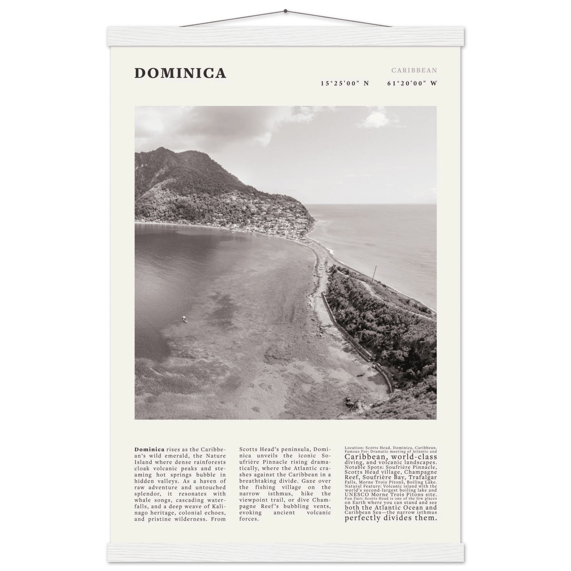 Dominica Poster Black and White – Vintage Caribbean Rainforest Island Print (Digital & Printed Options) - Evergreen Posters