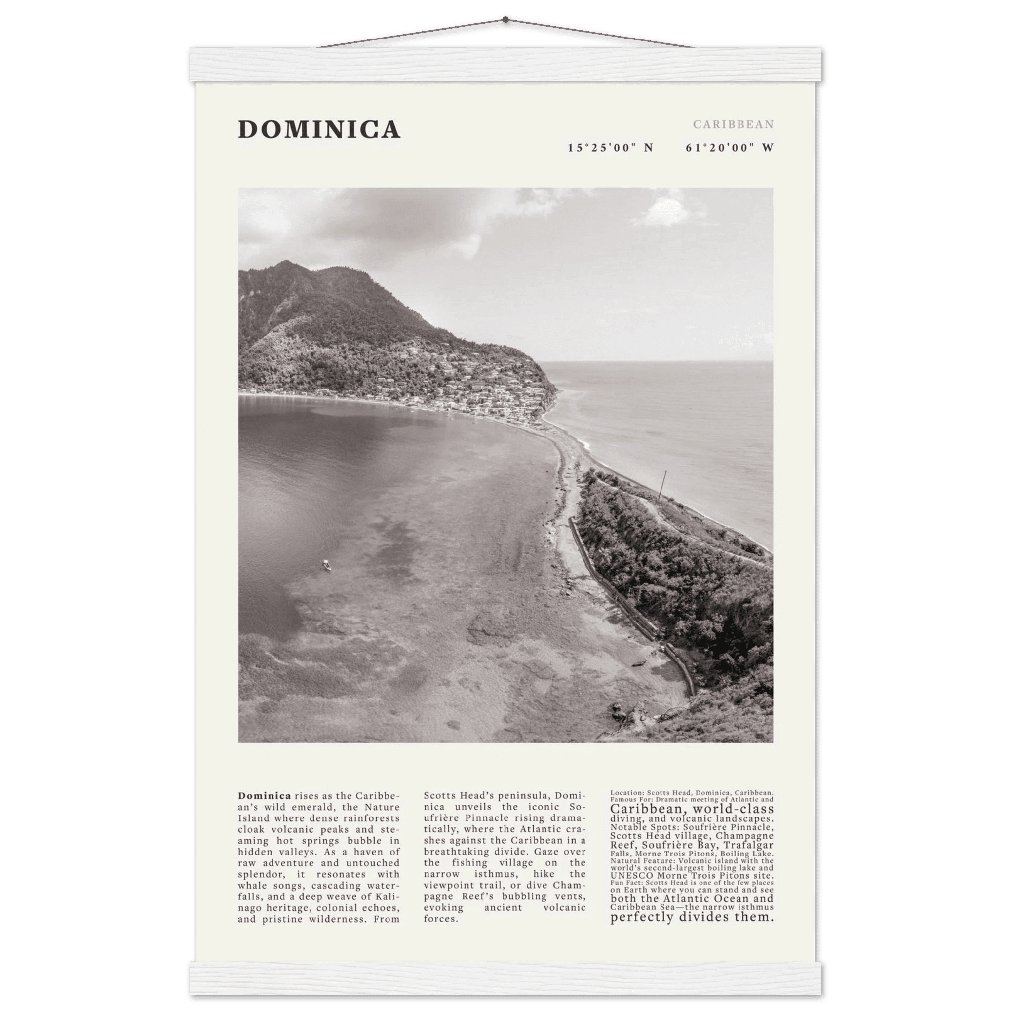 Dominica Poster Black and White – Vintage Caribbean Rainforest Island Print (Digital & Printed Options) - Evergreen Posters