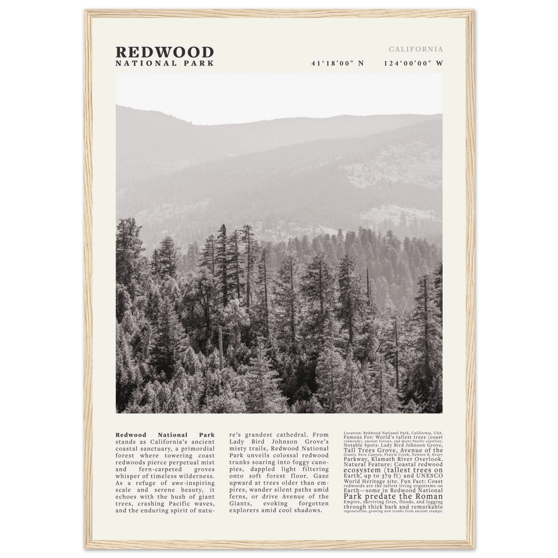 Redwood National Park Poster Black and White – Vintage Foggy Redwood Forest Print - Evergreen Posters