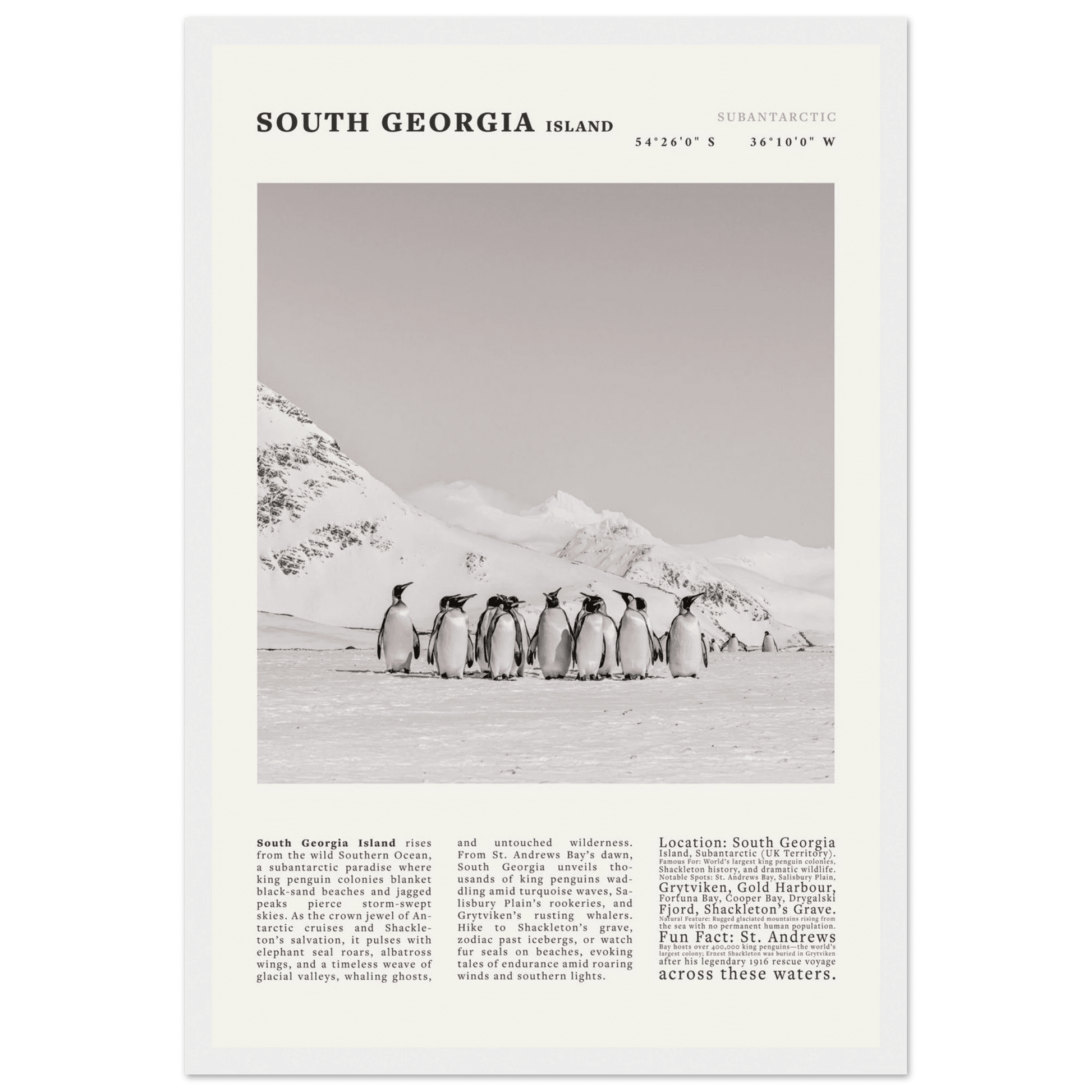 South Georgia Island Black and White Vintage Poster - Evergreen Posters