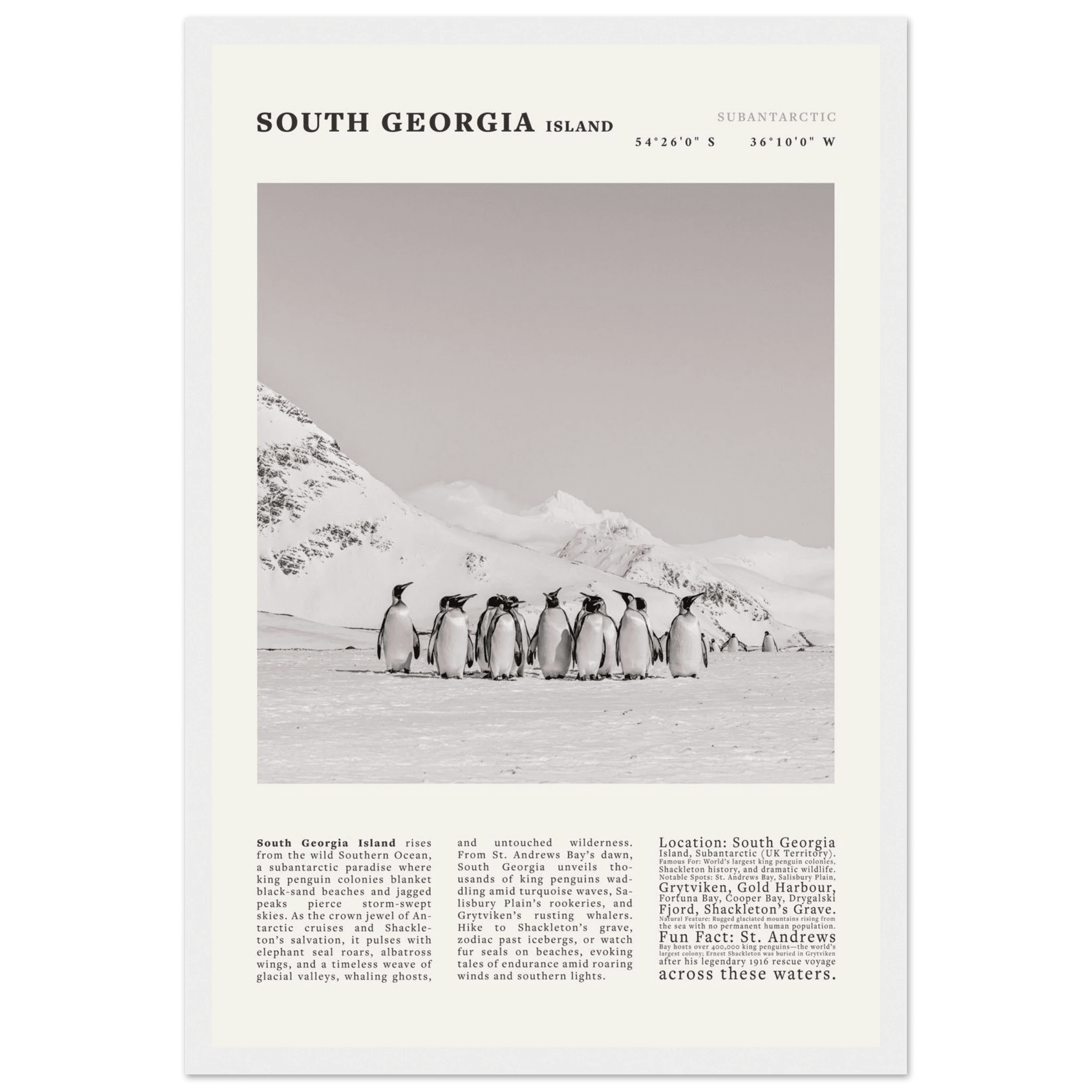 South Georgia Island Black and White Vintage Poster - Evergreen Posters