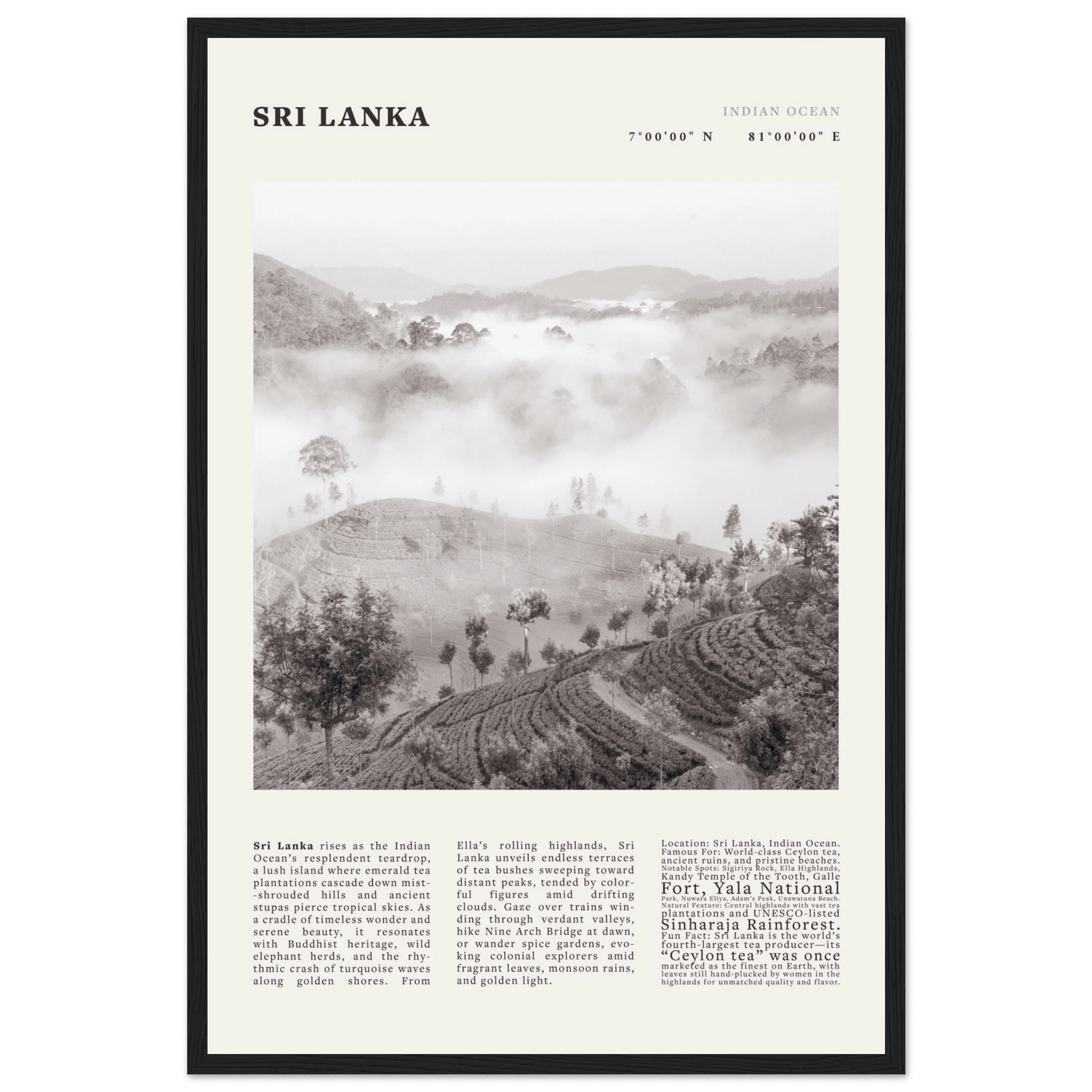 Sri Lanka Poster Black and White – Vintage Ceylon Tea Plantation Print (Digital & Printed Options) - Evergreen Posters