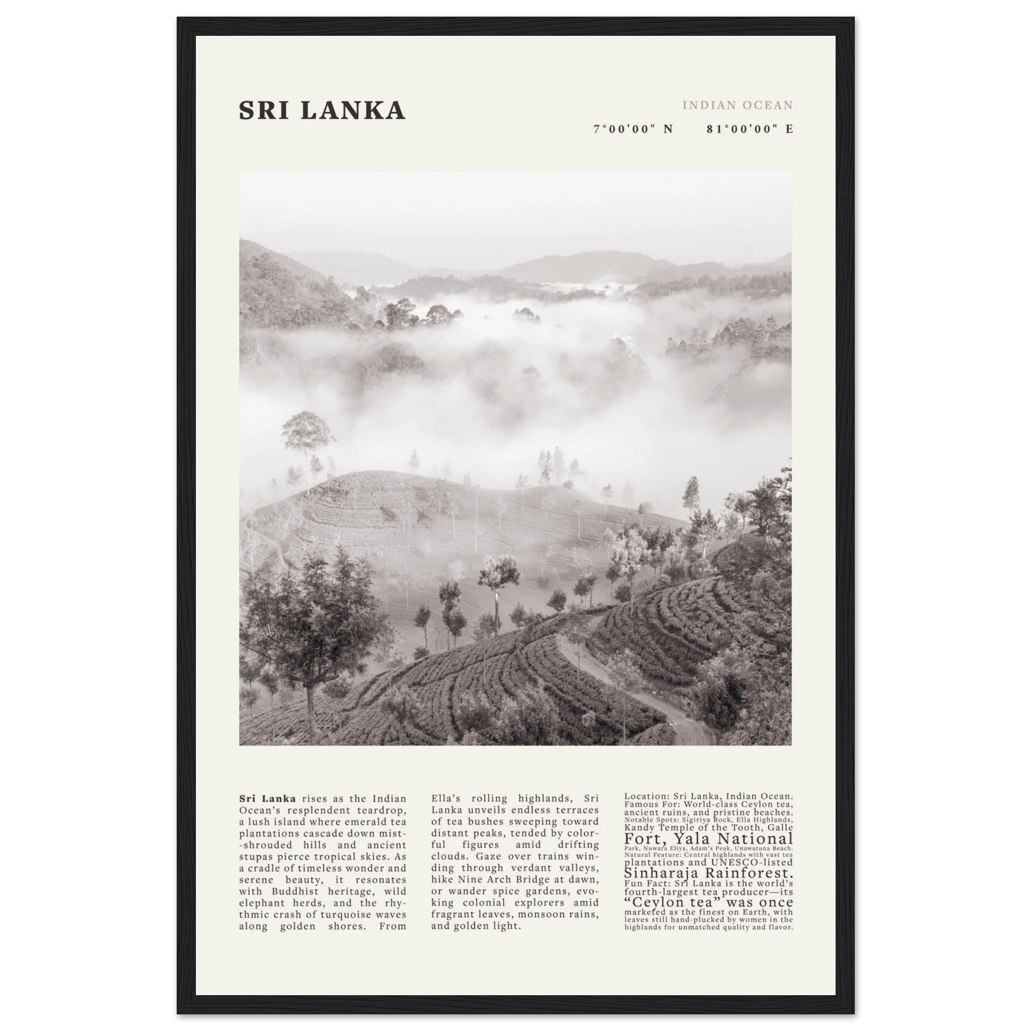 Sri Lanka Poster Black and White – Vintage Ceylon Tea Plantation Print (Digital & Printed Options) - Evergreen Posters