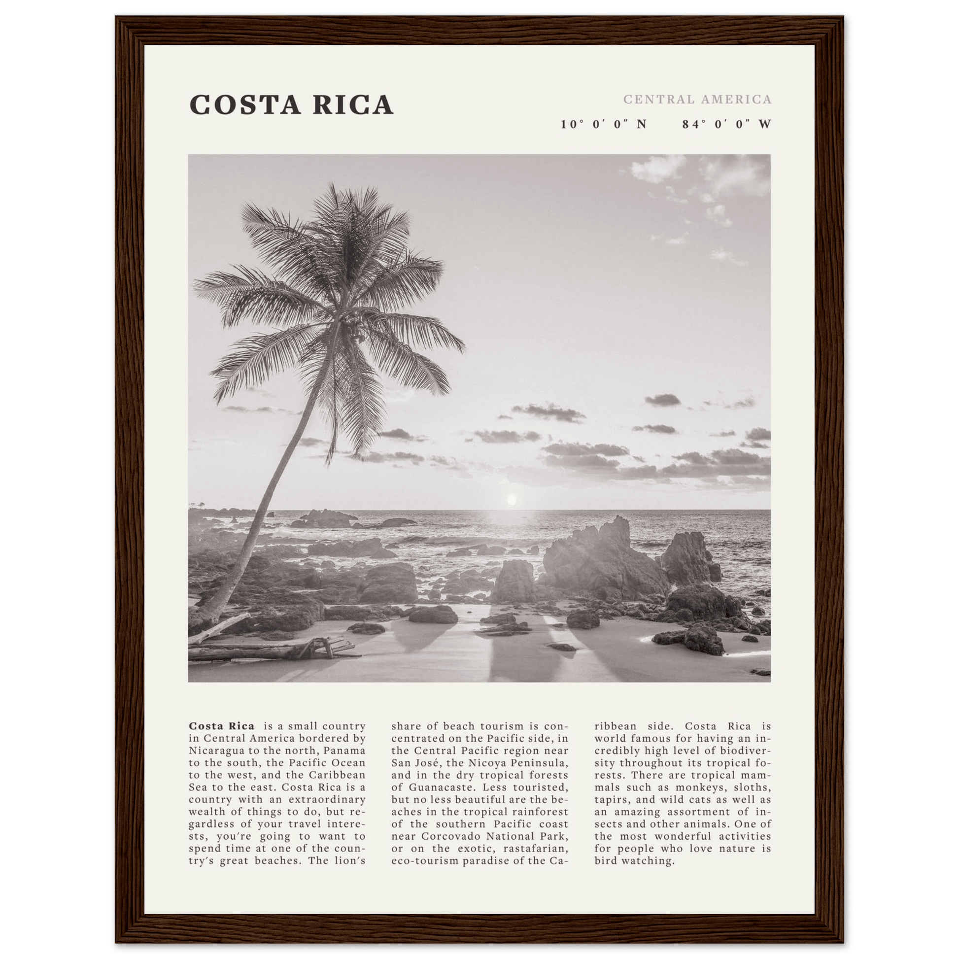 Costa Rica Poster | Black & White Palm Tree Beach Wall Art | Travel Print Decor - Evergreen Posters
