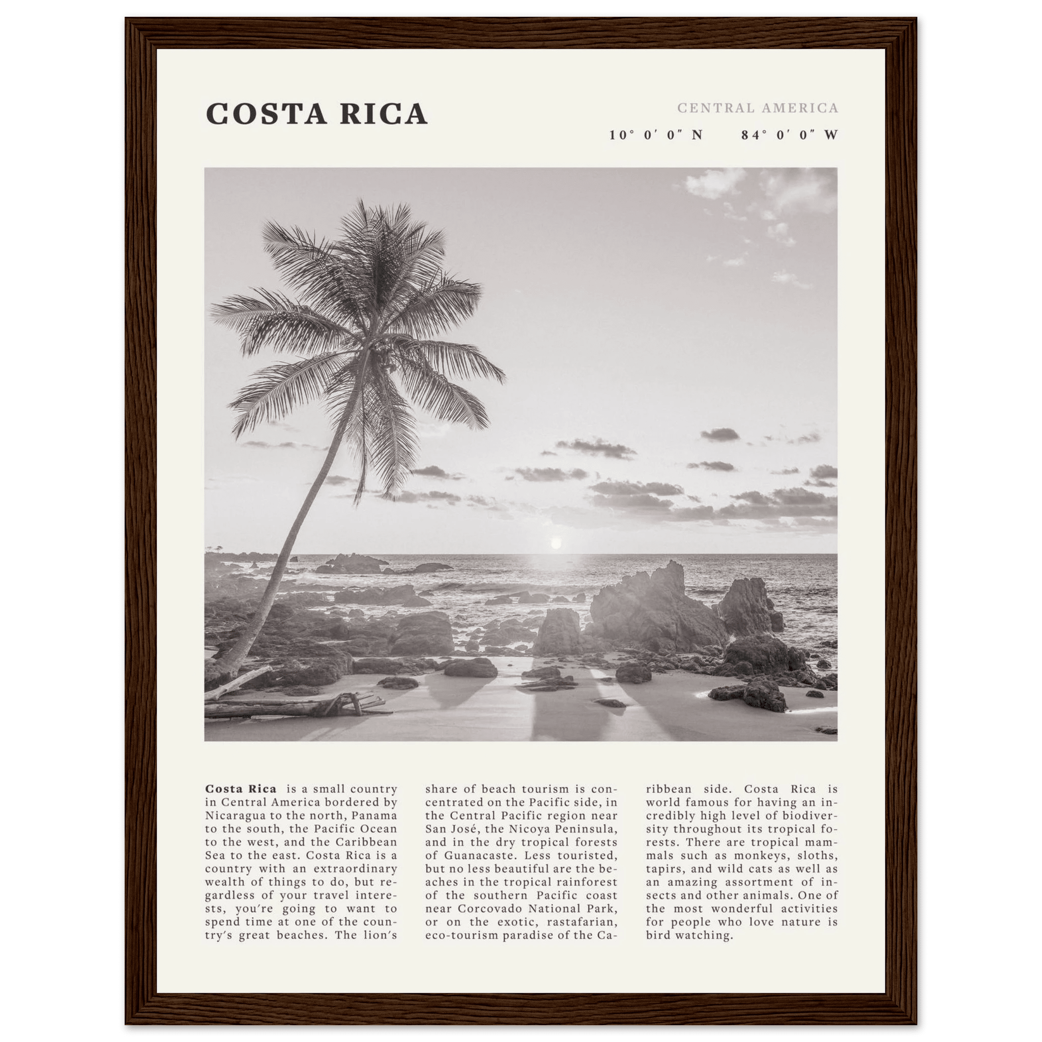 Costa Rica Poster | Black & White Palm Tree Beach Wall Art | Travel Print Decor - Evergreen Posters