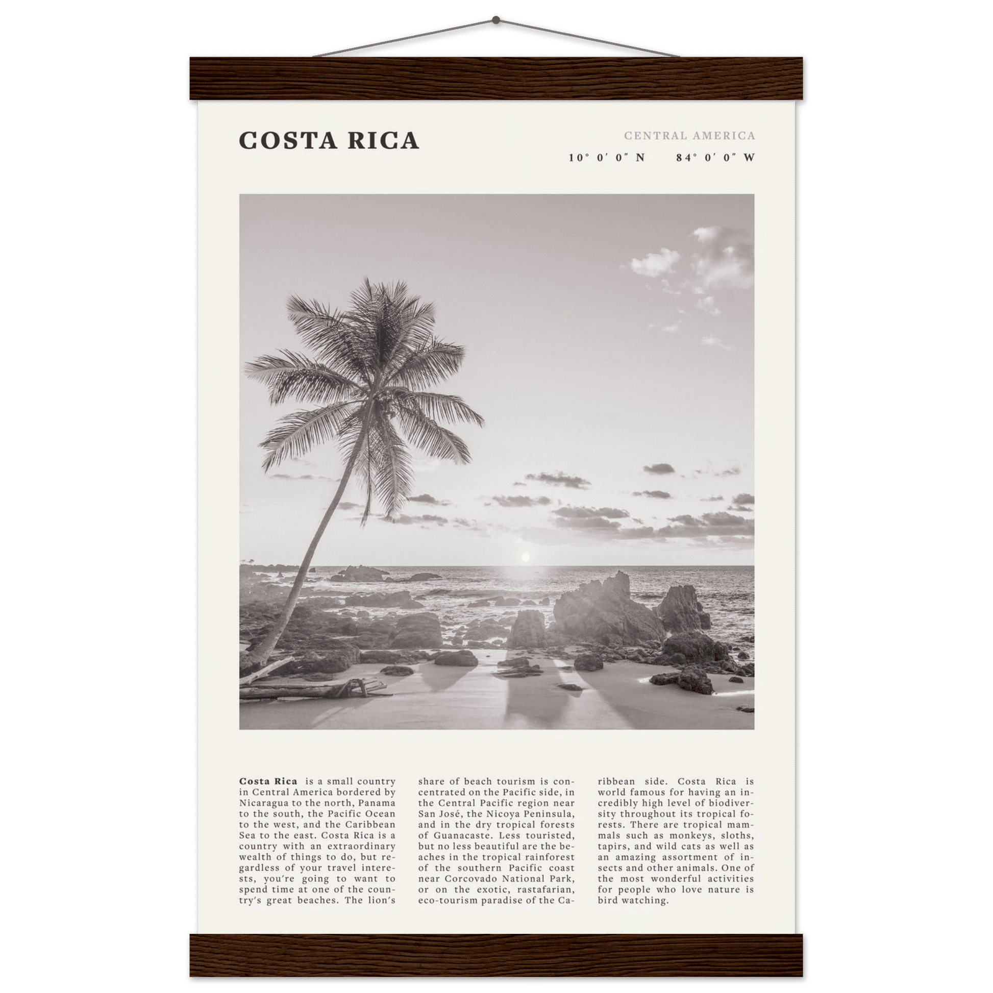 Costa Rica Poster | Black & White Palm Tree Beach Wall Art | Travel Print Decor - Evergreen Posters