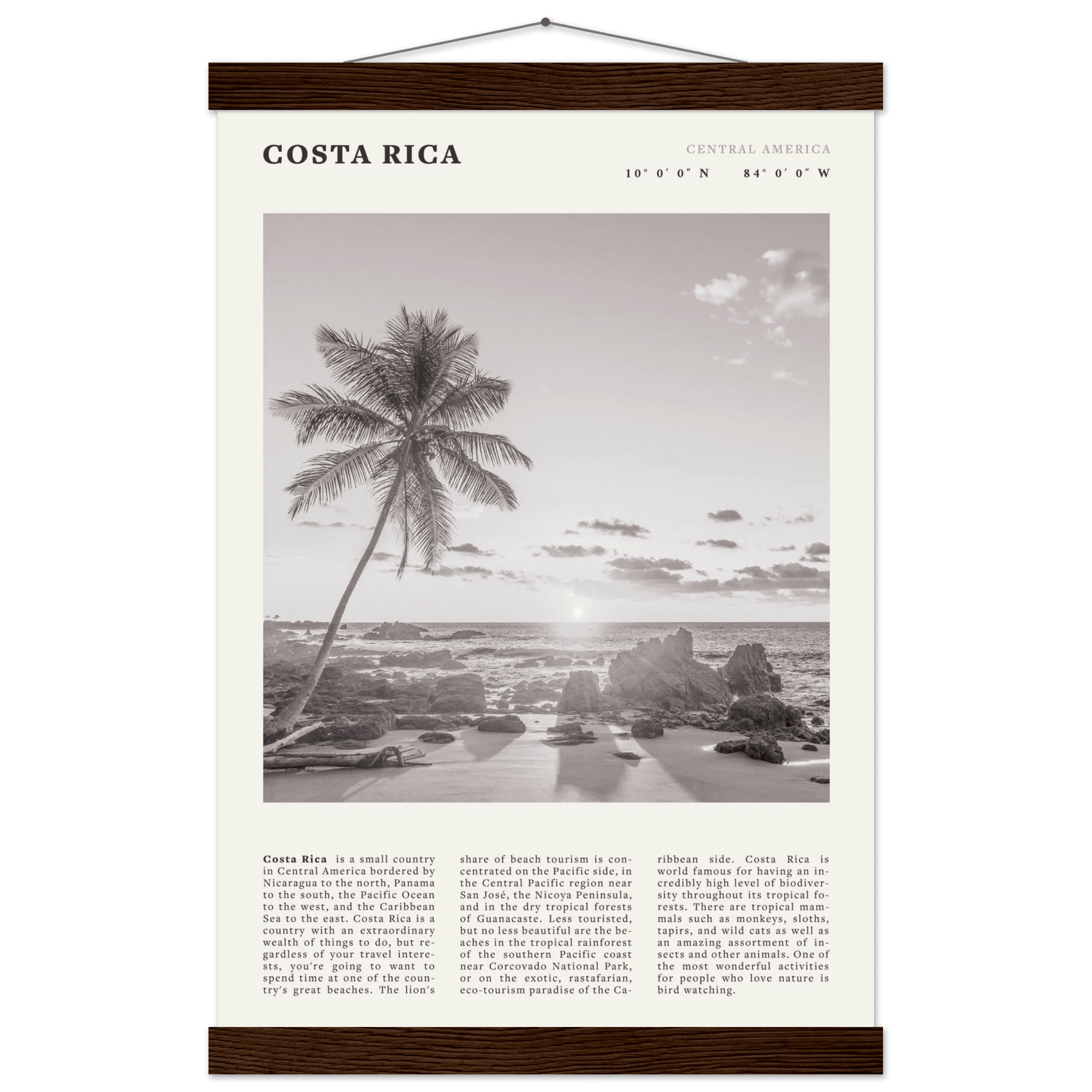 Costa Rica Poster | Black & White Palm Tree Beach Wall Art | Travel Print Decor - Evergreen Posters