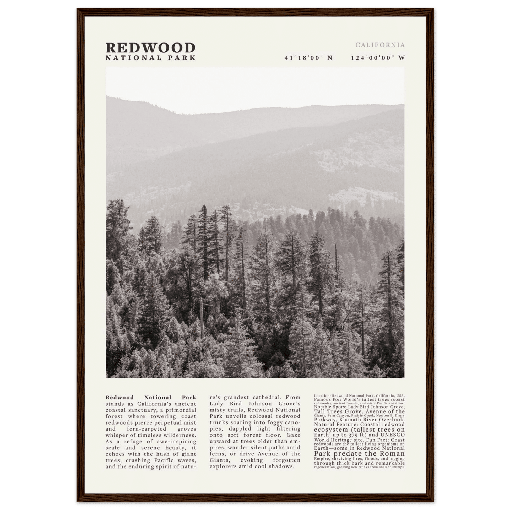 Redwood National Park Poster Black and White – Vintage Foggy Redwood Forest Print - Evergreen Posters