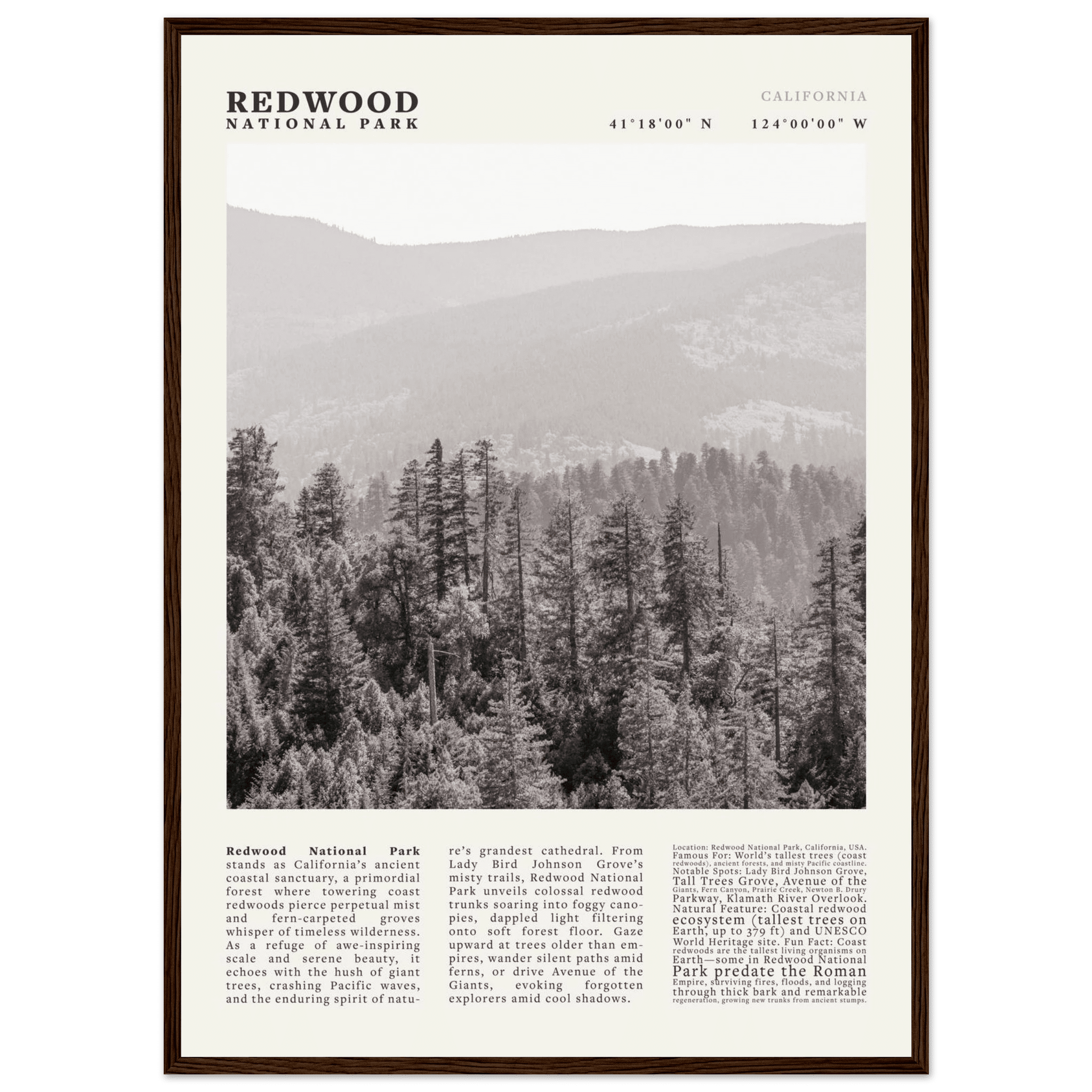 Redwood National Park Poster Black and White – Vintage Foggy Redwood Forest Print - Evergreen Posters
