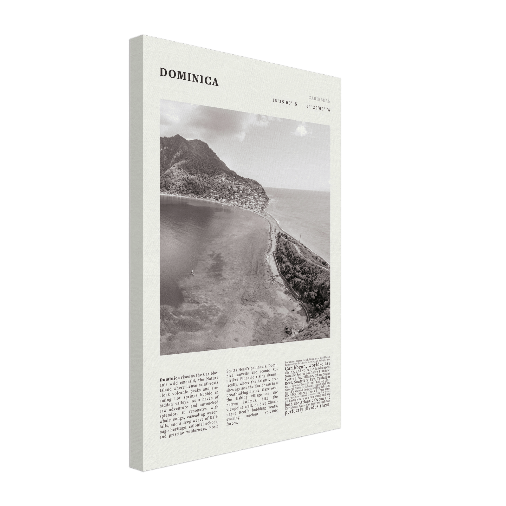 Dominica Poster Black and White – Vintage Caribbean Rainforest Island Print (Digital & Printed Options) - Evergreen Posters