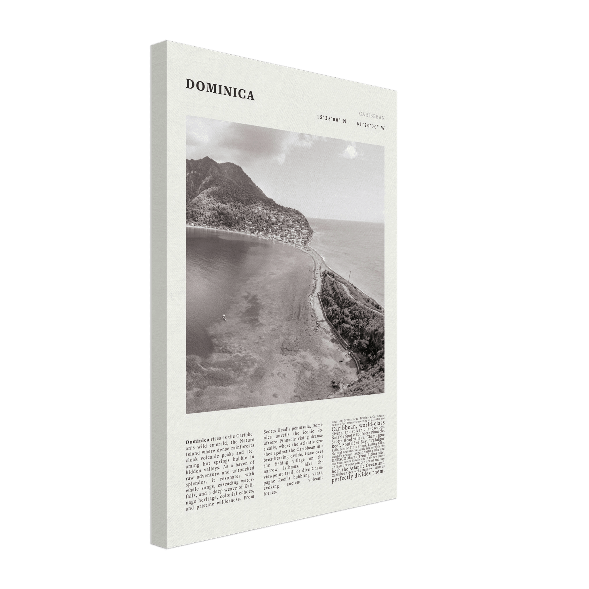 Dominica Poster Black and White – Vintage Caribbean Rainforest Island Print (Digital & Printed Options) - Evergreen Posters