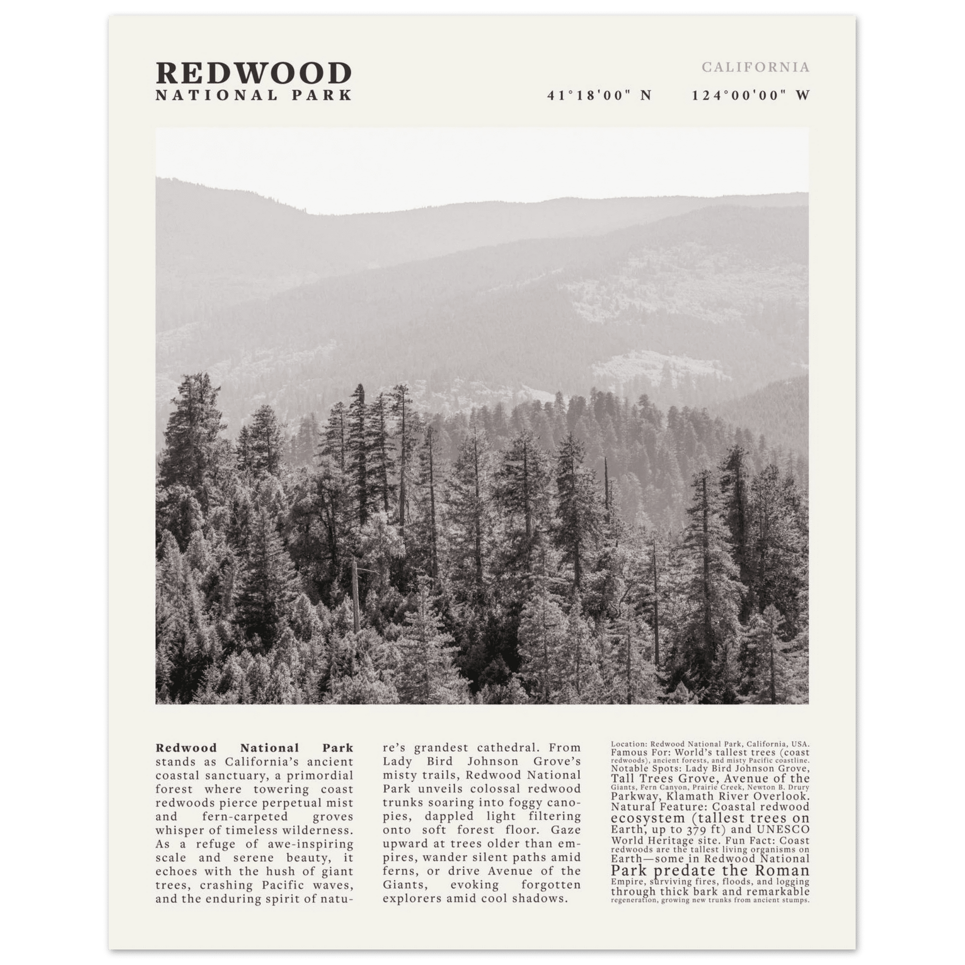 Redwood National Park Poster Black and White – Vintage Foggy Redwood Forest Print - Evergreen Posters