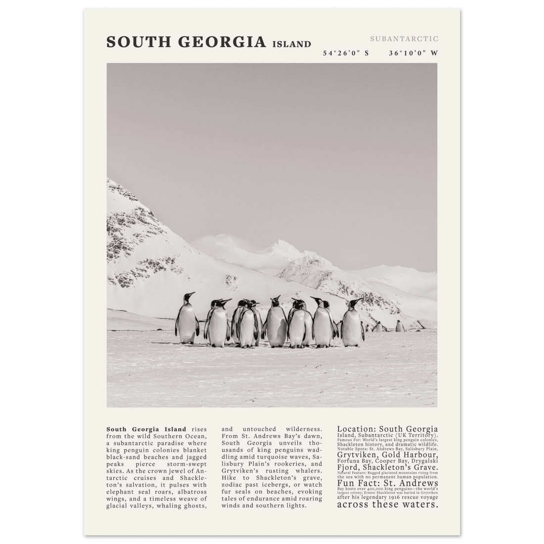 South Georgia Island Black and White Vintage Poster - Evergreen Posters