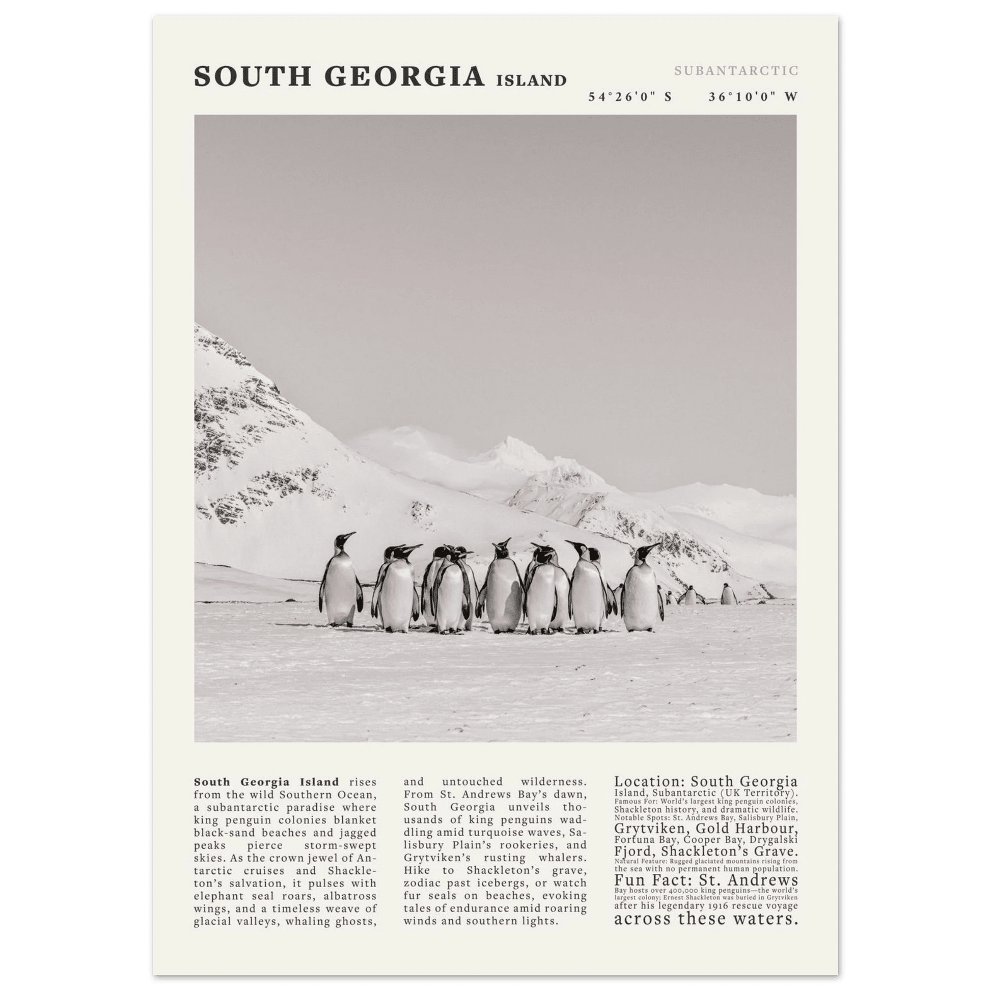 South Georgia Island Black and White Vintage Poster - Evergreen Posters