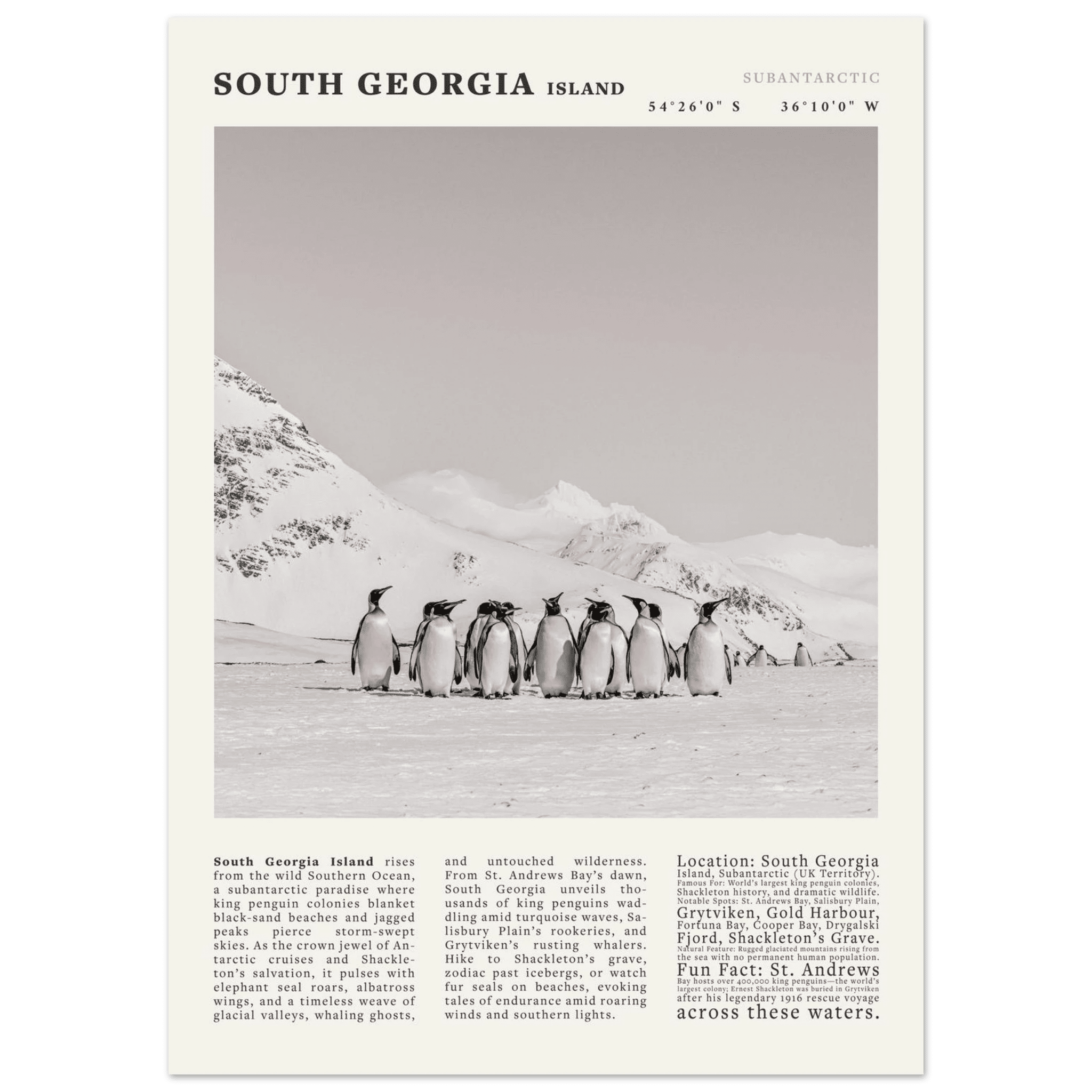South Georgia Island Black and White Vintage Poster - Evergreen Posters