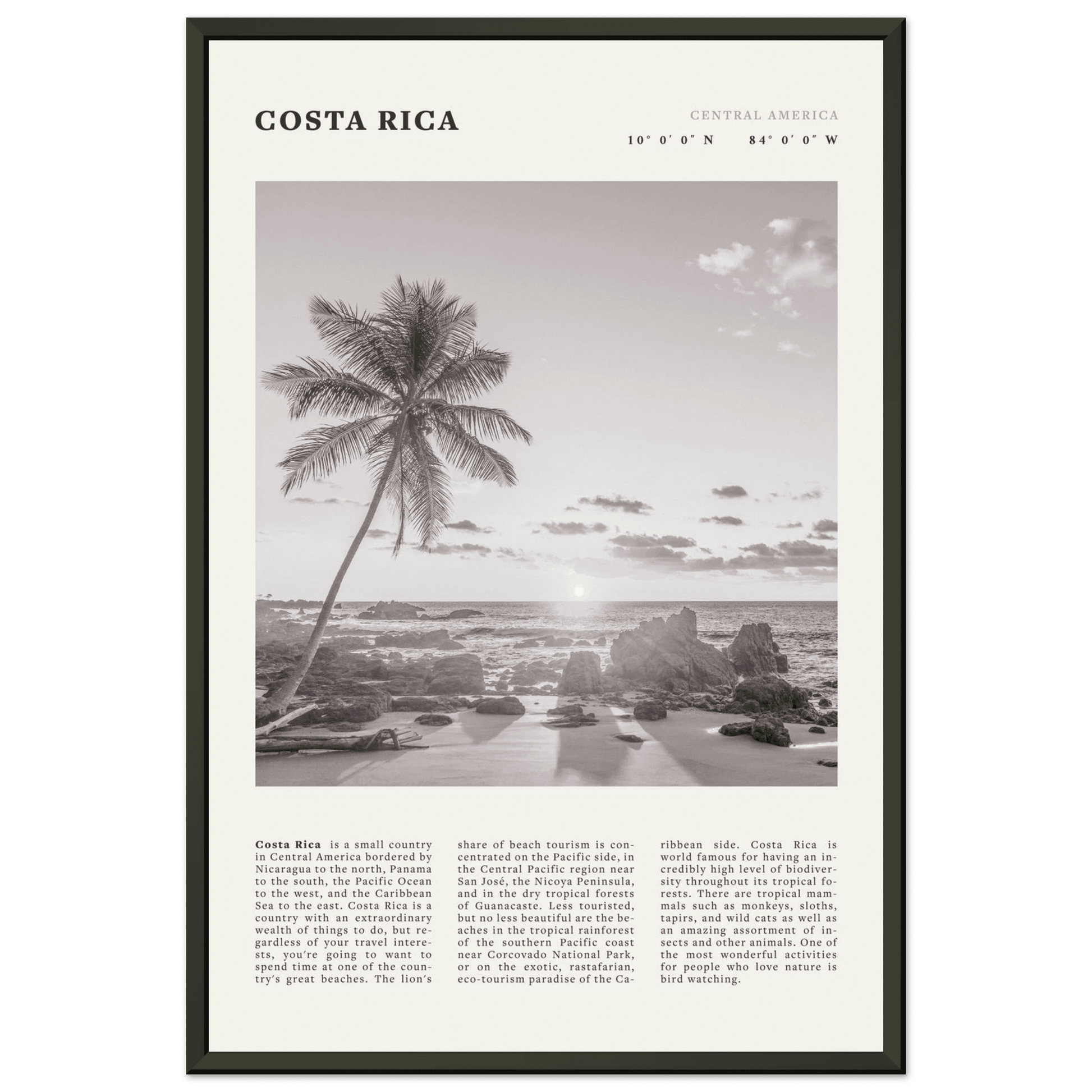 Costa Rica Poster | Black & White Palm Tree Beach Wall Art | Travel Print Decor - Evergreen Posters