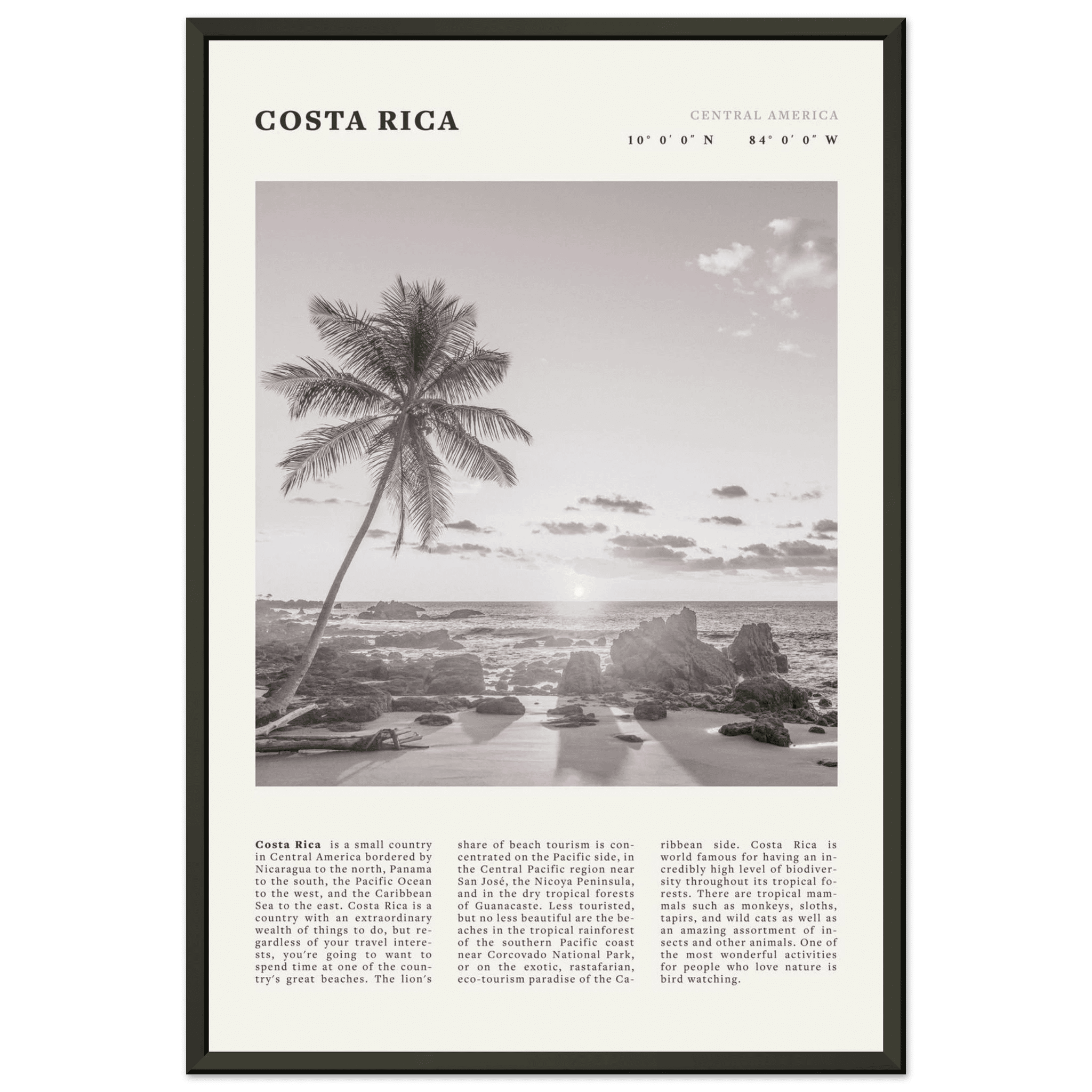 Costa Rica Poster | Black & White Palm Tree Beach Wall Art | Travel Print Decor - Evergreen Posters