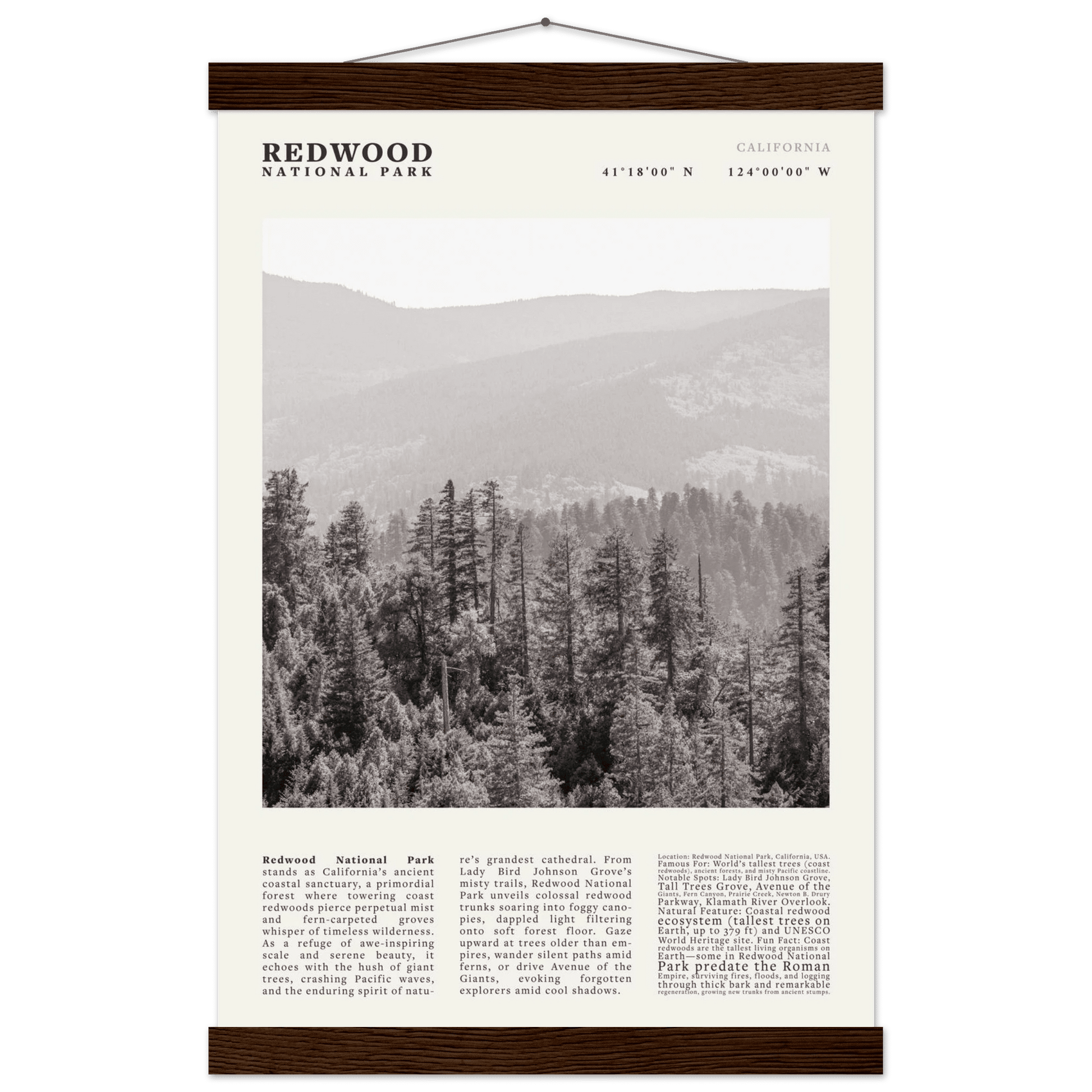 Redwood National Park Poster Black and White – Vintage Foggy Redwood Forest Print - Evergreen Posters