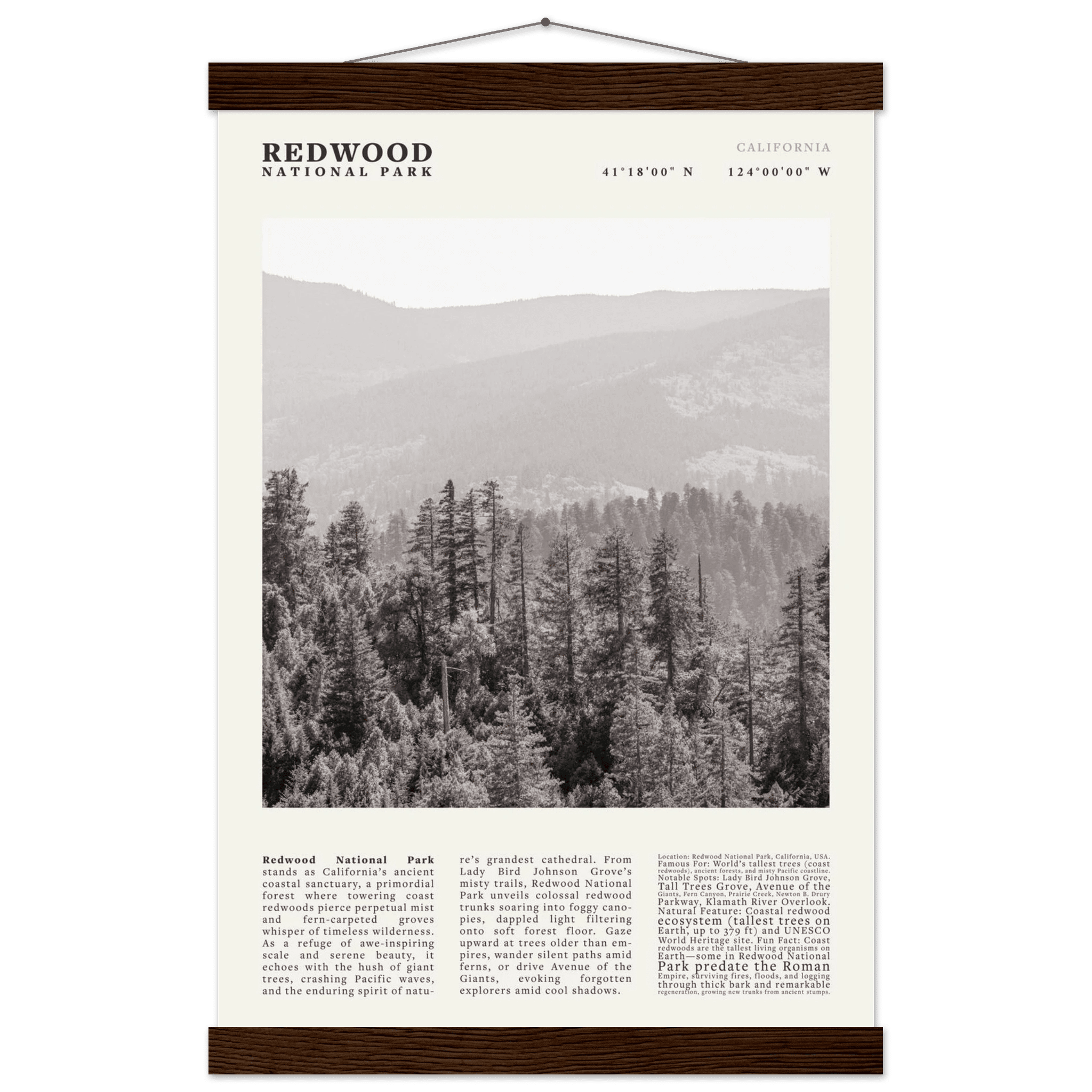 Redwood National Park Poster Black and White – Vintage Foggy Redwood Forest Print - Evergreen Posters