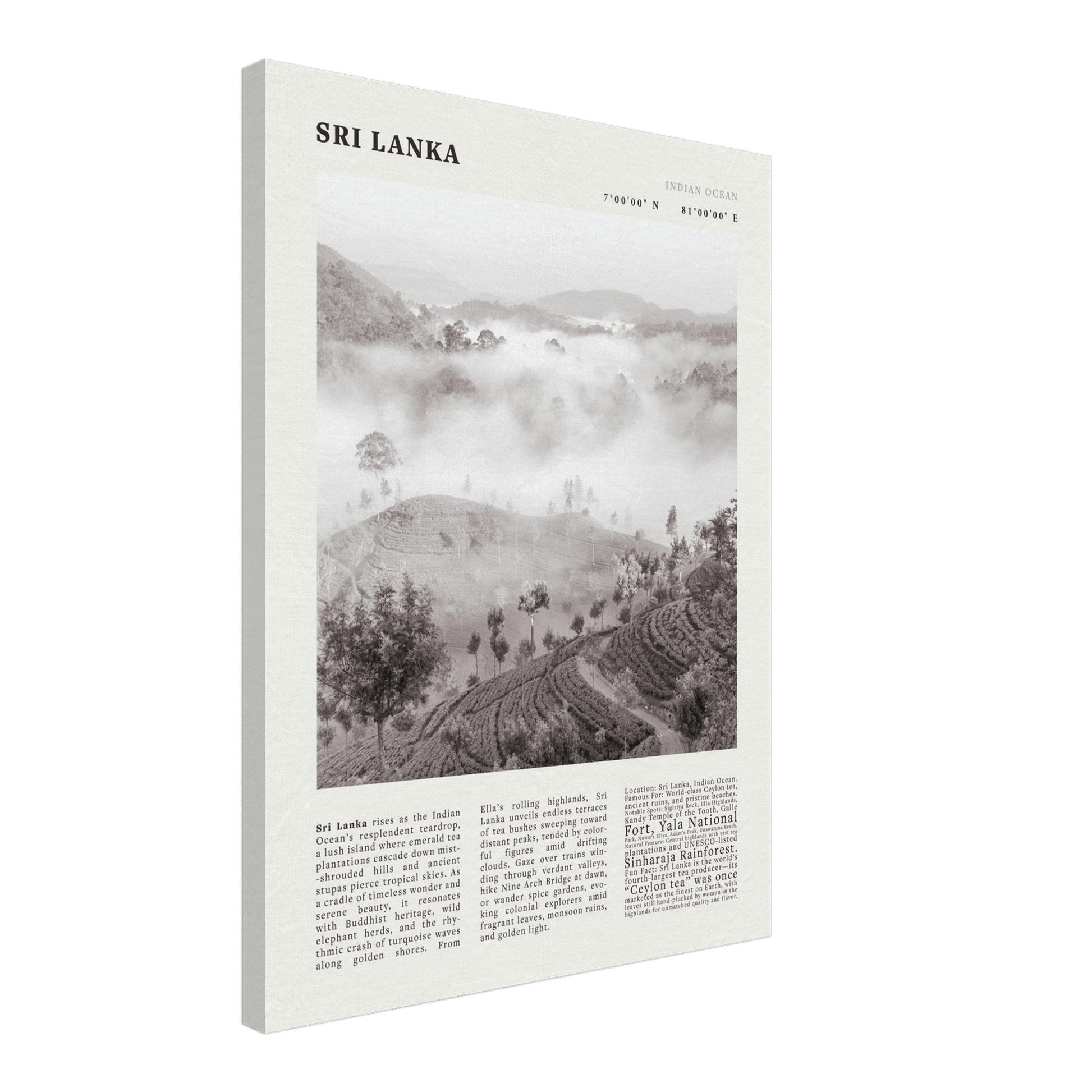 Sri Lanka Poster Black and White – Vintage Ceylon Tea Plantation Print (Digital & Printed Options) - Evergreen Posters