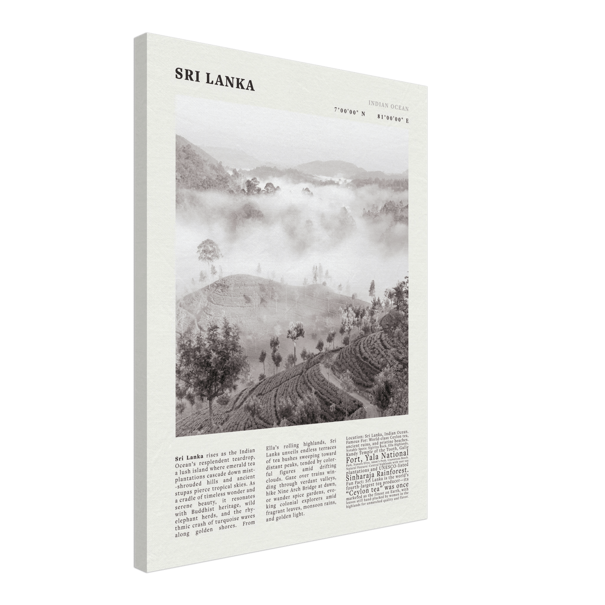 Sri Lanka Poster Black and White – Vintage Ceylon Tea Plantation Print (Digital & Printed Options) - Evergreen Posters