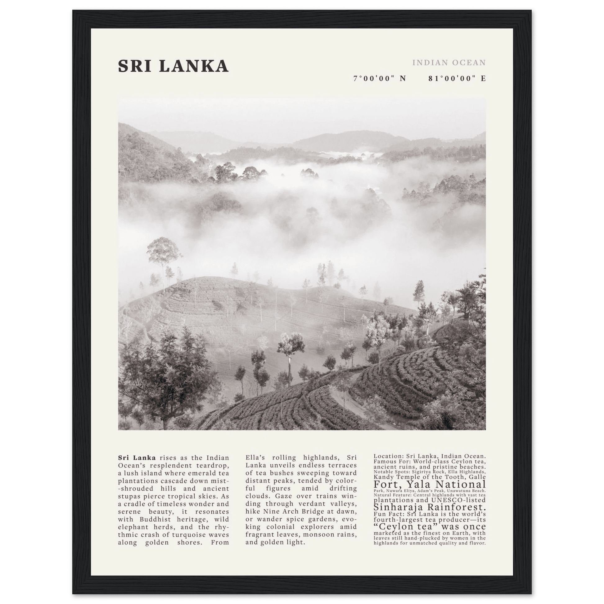 Sri Lanka Poster Black and White – Vintage Ceylon Tea Plantation Print (Digital & Printed Options) - Evergreen Posters