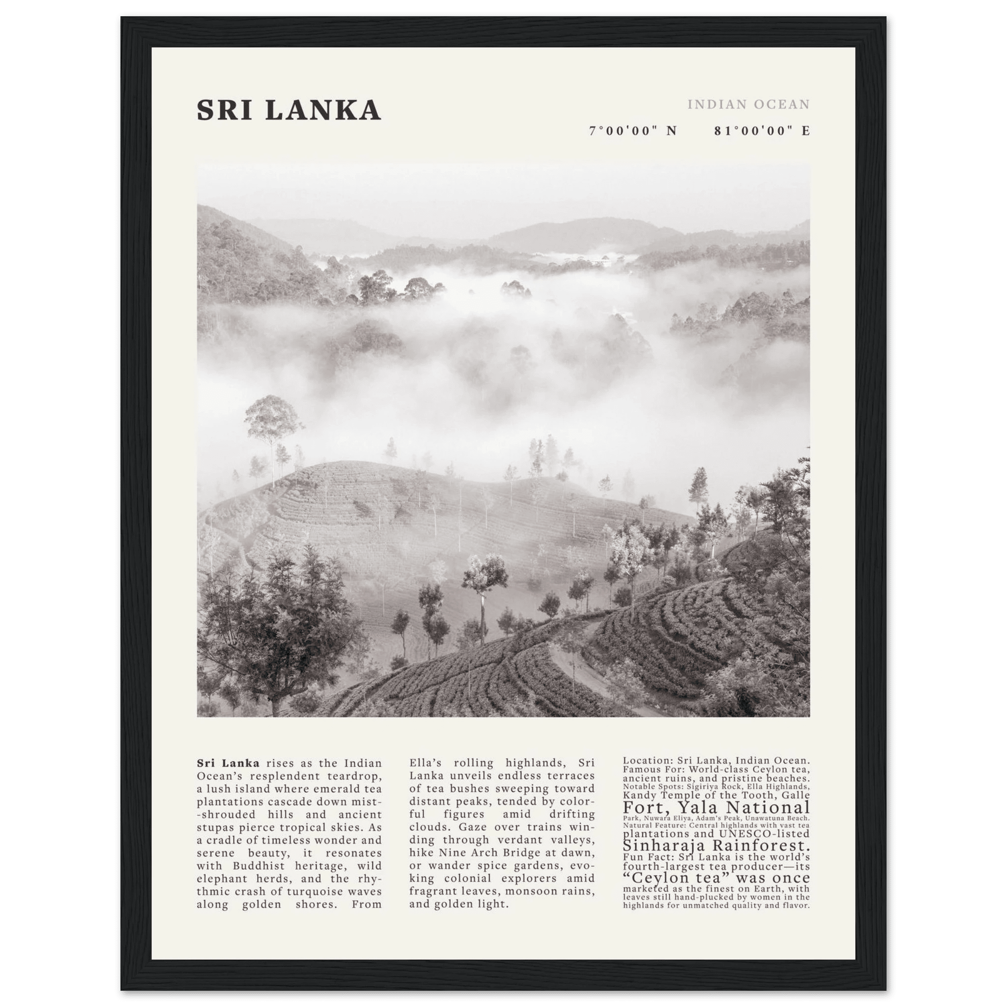 Sri Lanka Poster Black and White – Vintage Ceylon Tea Plantation Print (Digital & Printed Options) - Evergreen Posters