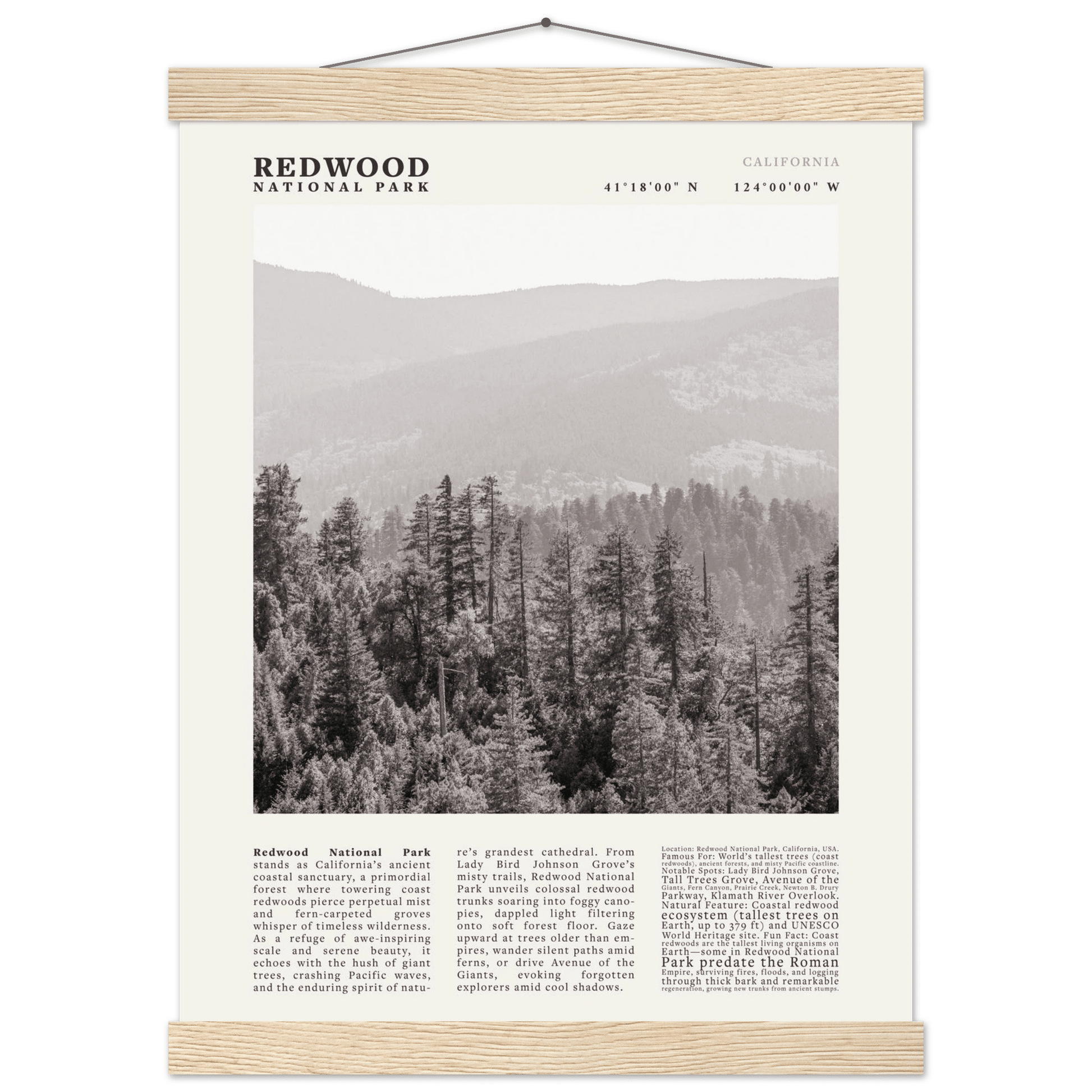 Redwood National Park Poster Black and White – Vintage Foggy Redwood Forest Print - Evergreen Posters