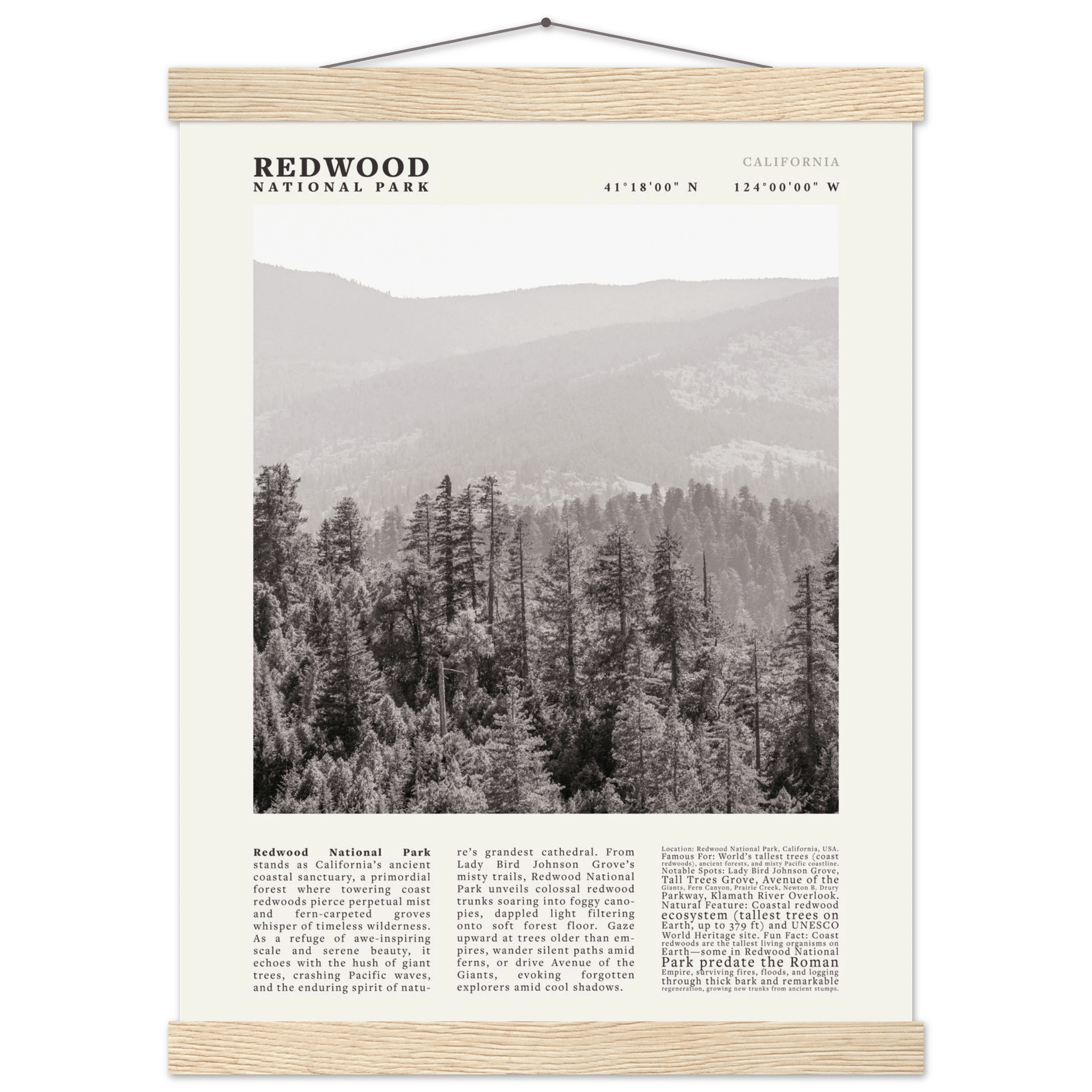 Redwood National Park Poster Black and White – Vintage Foggy Redwood Forest Print - Evergreen Posters