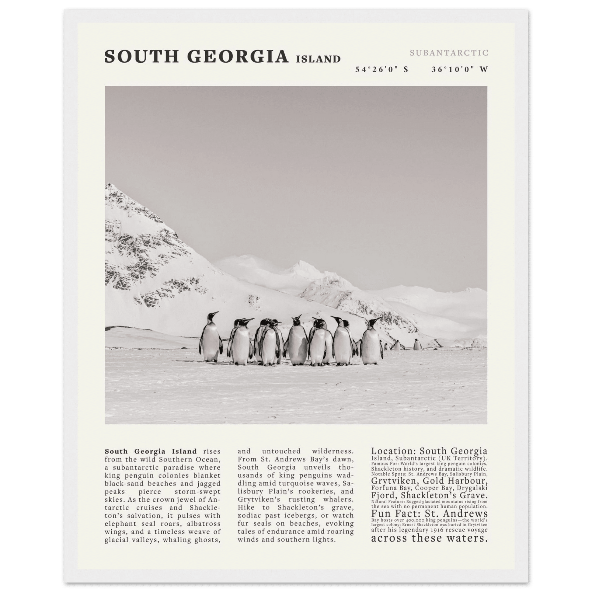 South Georgia Island Black and White Vintage Poster - Evergreen Posters