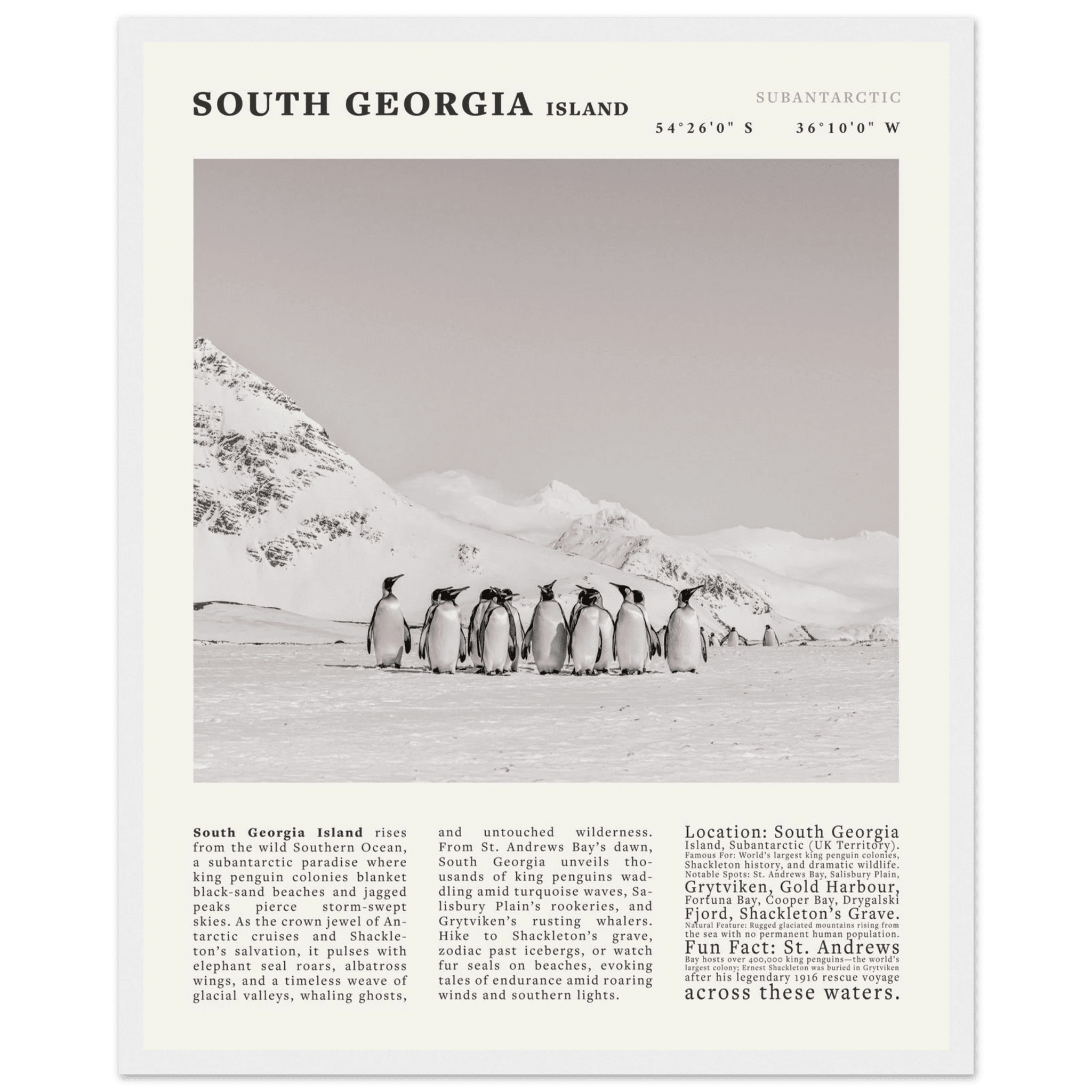 South Georgia Island Black and White Vintage Poster - Evergreen Posters