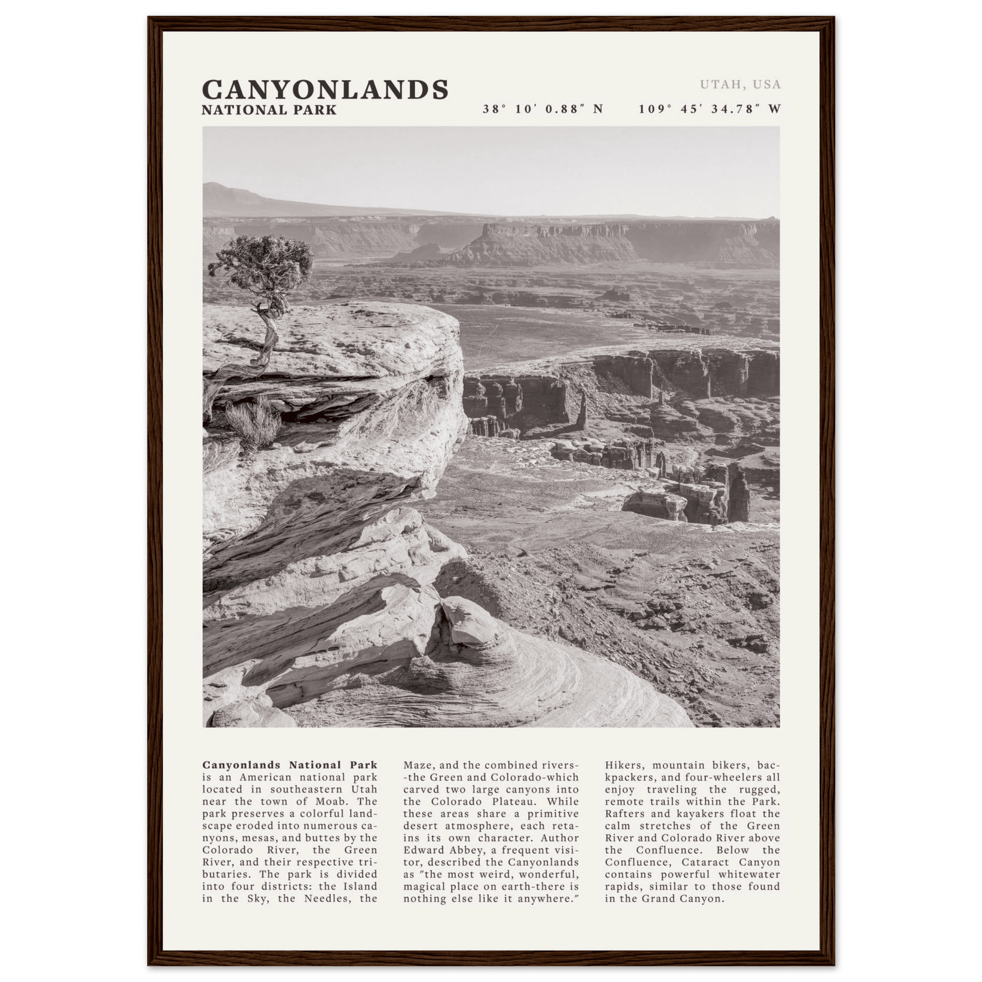 Canyonlands National Park Poster | Black & White Utah Wall Art | Canyon Travel Print - Evergreen Posters