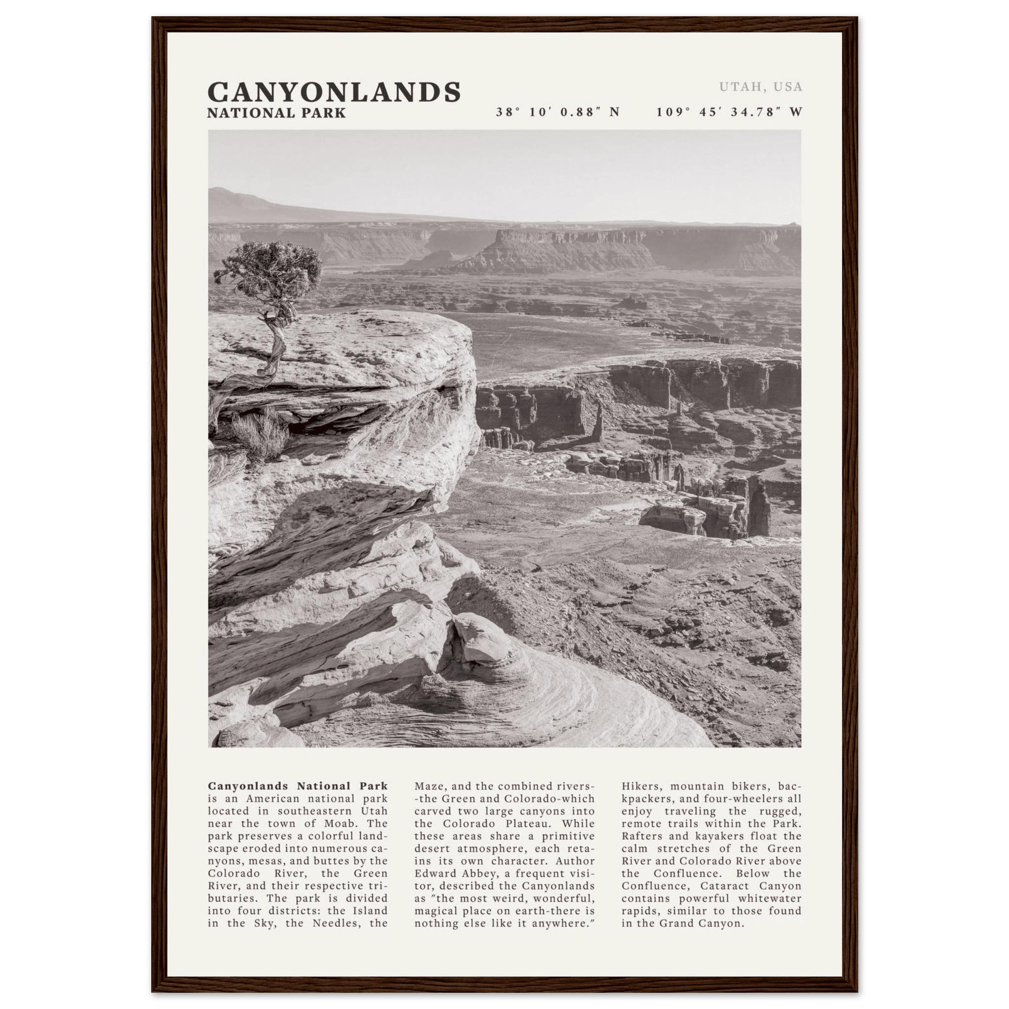 Canyonlands National Park Poster | Black & White Utah Wall Art | Canyon Travel Print - Evergreen Posters