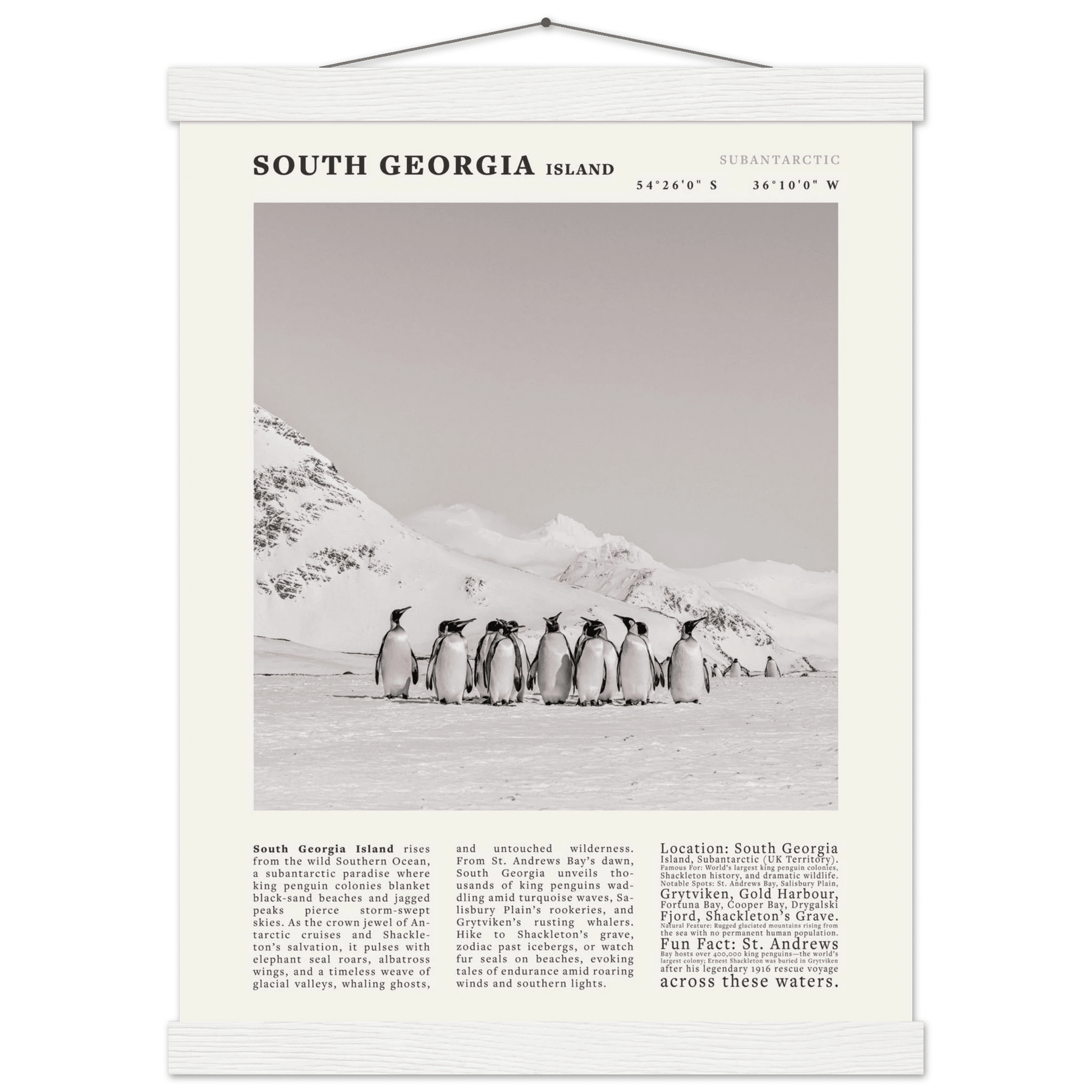 South Georgia Island Black and White Vintage Poster - Evergreen Posters