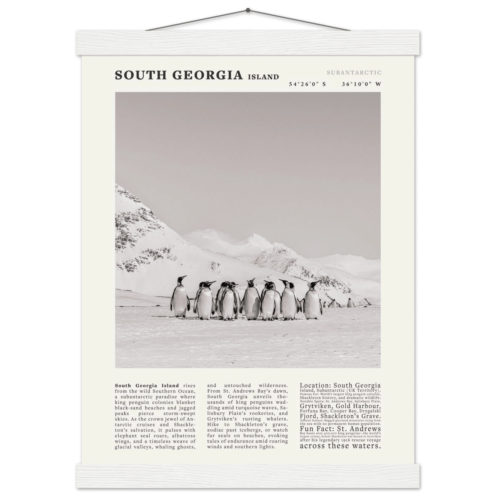 South Georgia Island Black and White Vintage Poster - Evergreen Posters