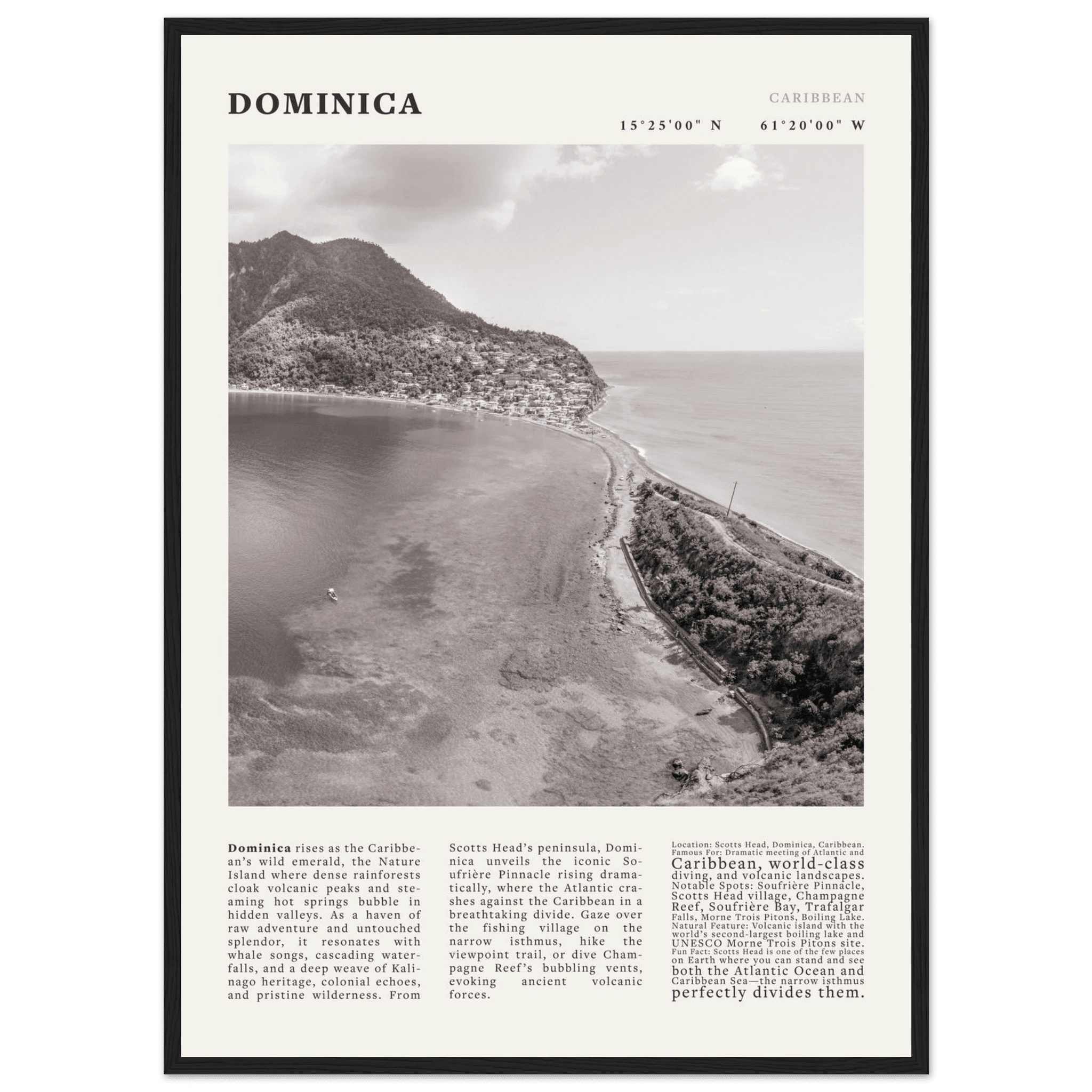 Dominica Poster Black and White – Vintage Caribbean Rainforest Island Print (Digital & Printed Options) - Evergreen Posters