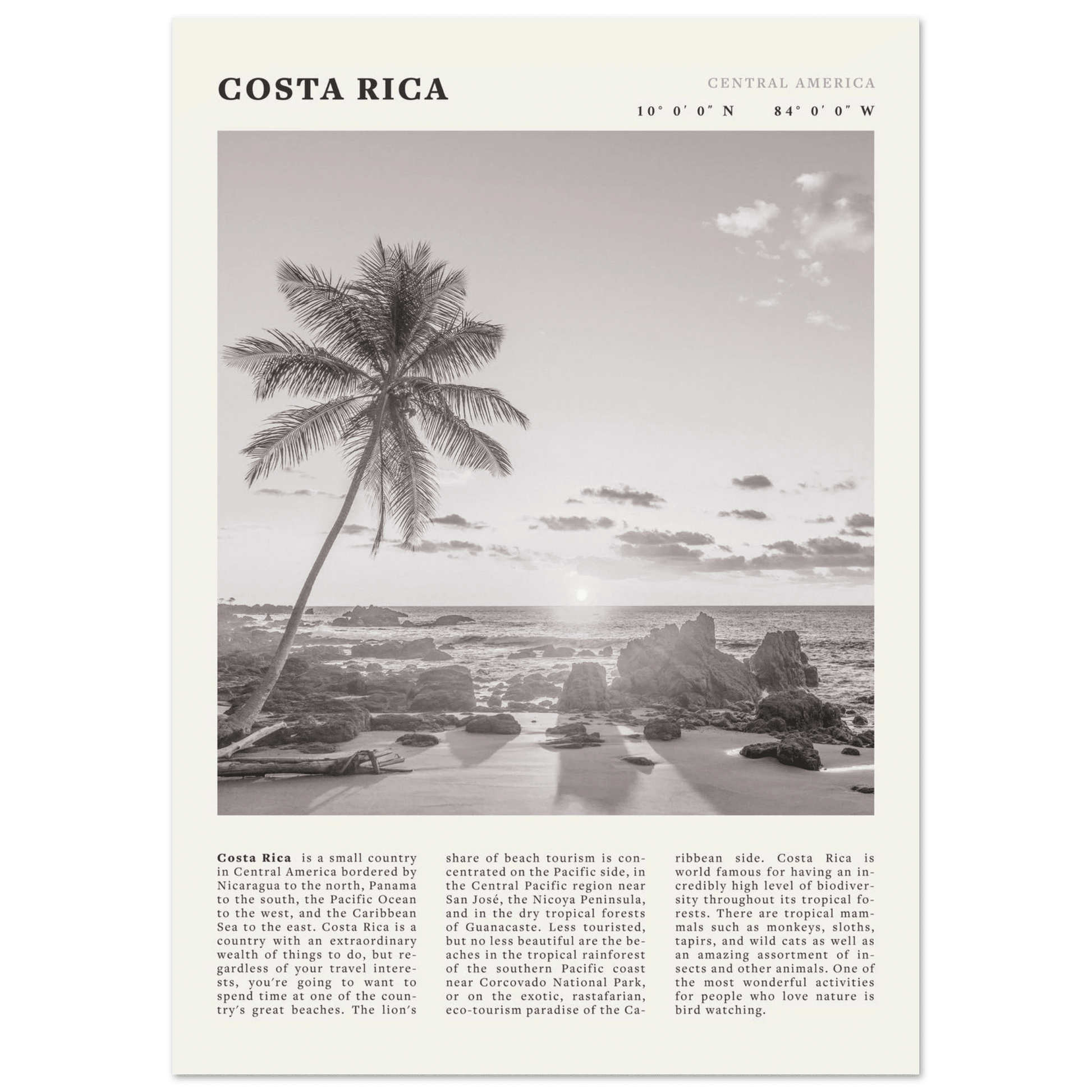 Costa Rica Poster | Black & White Palm Tree Beach Wall Art | Travel Print Decor - Evergreen Posters