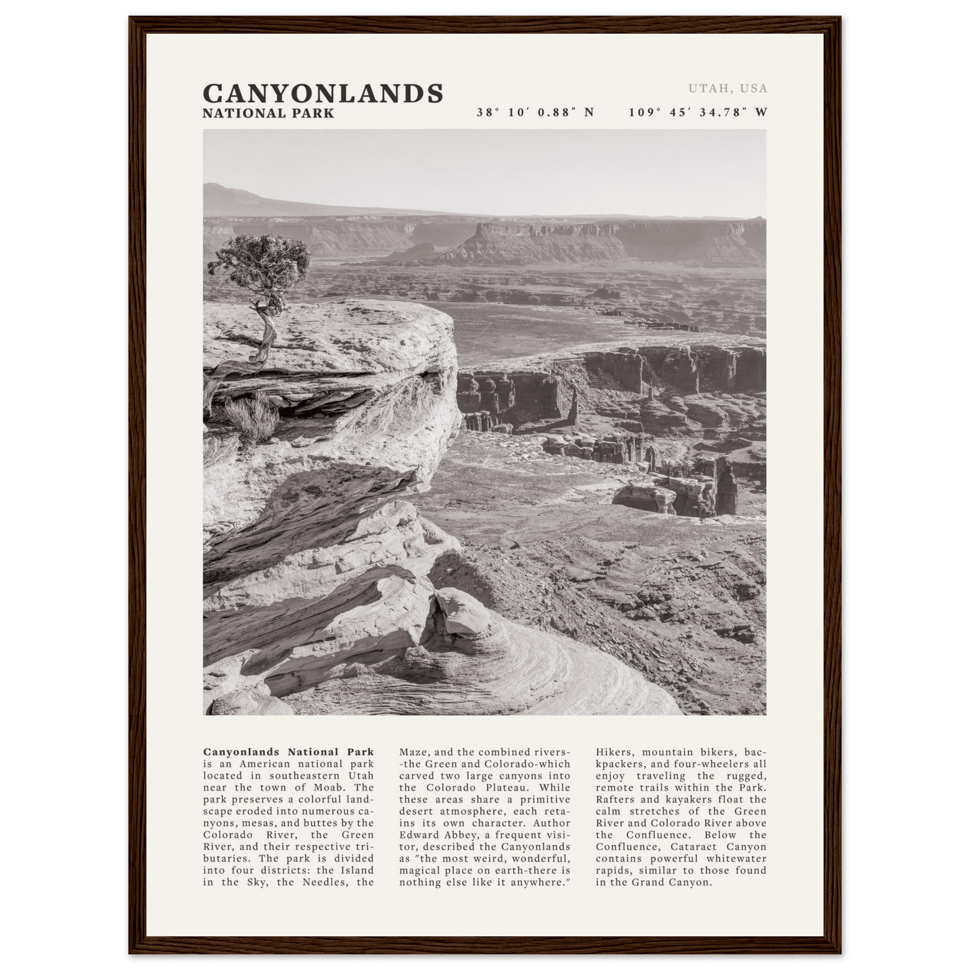 Canyonlands National Park Poster | Black & White Utah Wall Art | Canyon Travel Print - Evergreen Posters