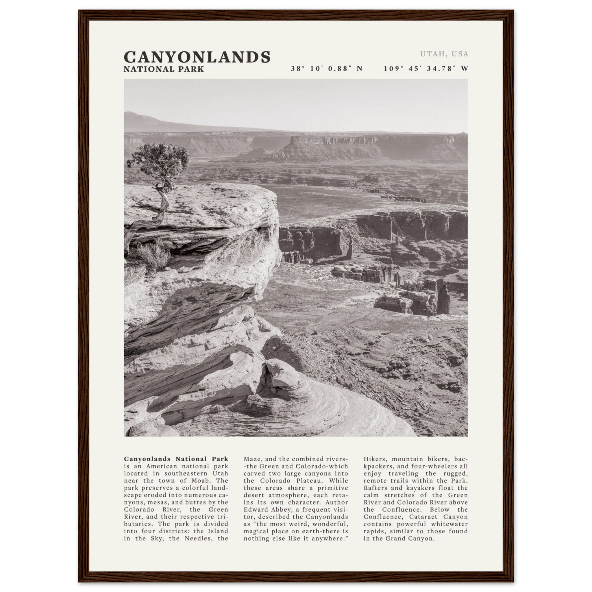 Canyonlands National Park Poster | Black & White Utah Wall Art | Canyon Travel Print - Evergreen Posters