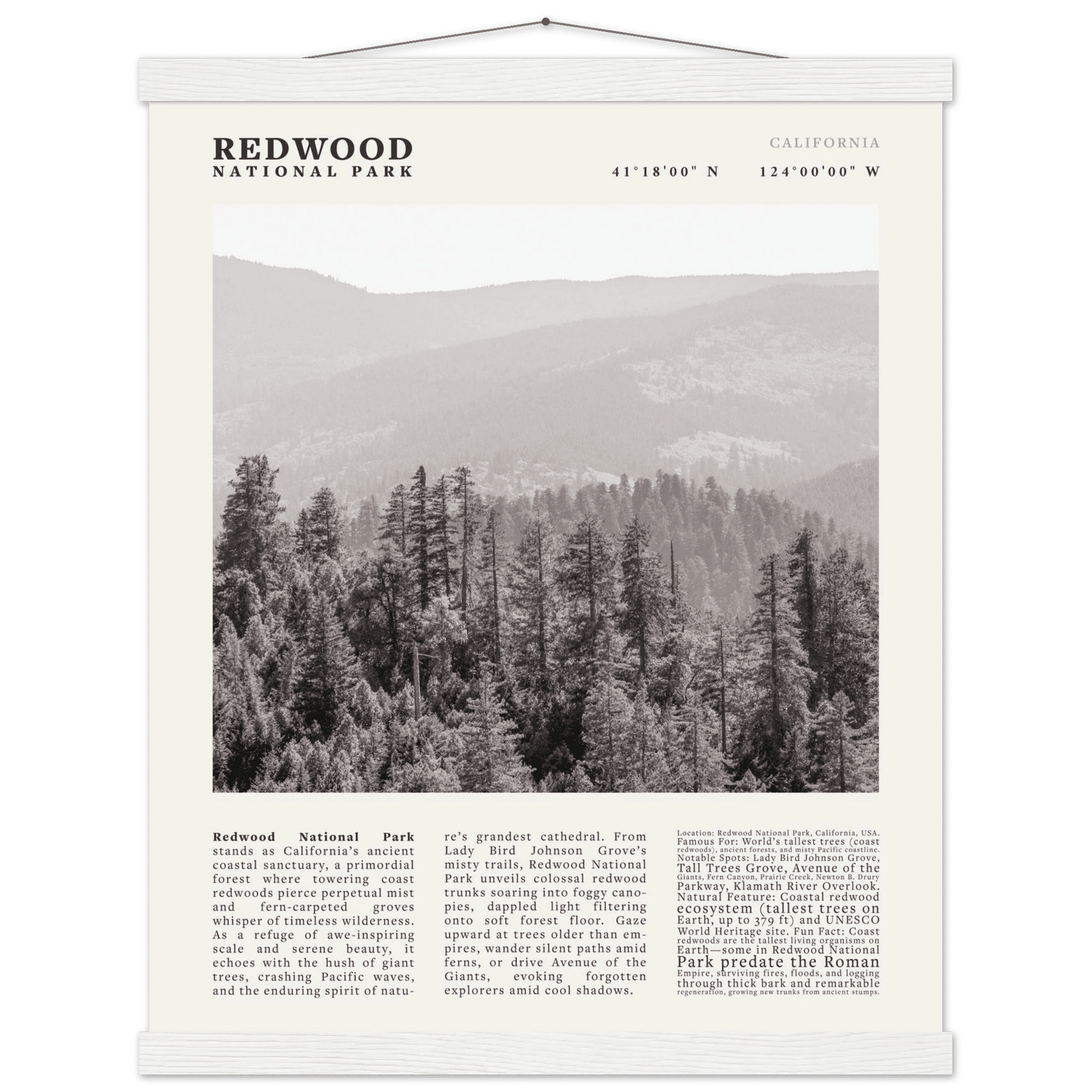Redwood National Park Poster Black and White – Vintage Foggy Redwood Forest Print - Evergreen Posters