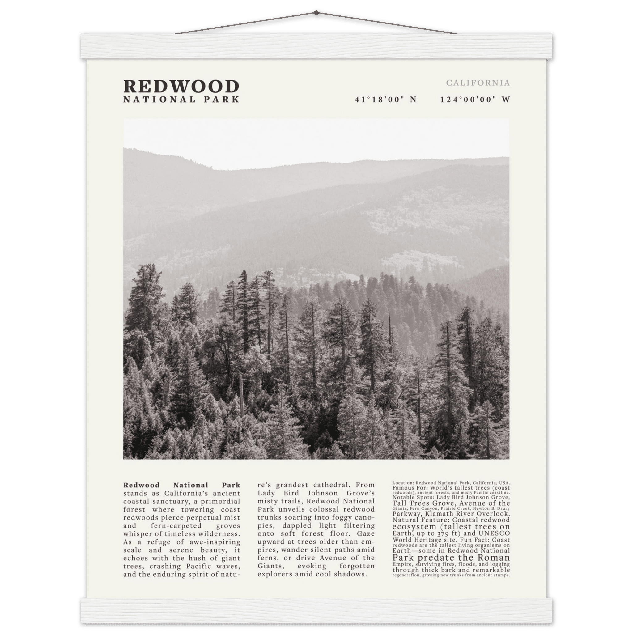 Redwood National Park Poster Black and White – Vintage Foggy Redwood Forest Print - Evergreen Posters