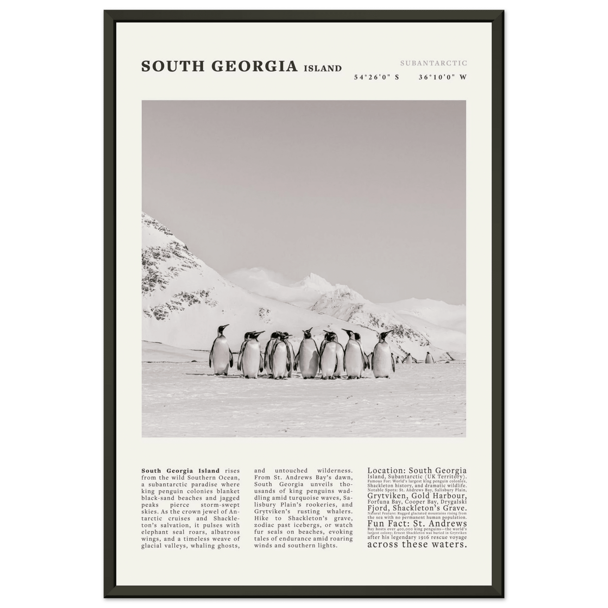 South Georgia Island Black and White Vintage Poster - Evergreen Posters