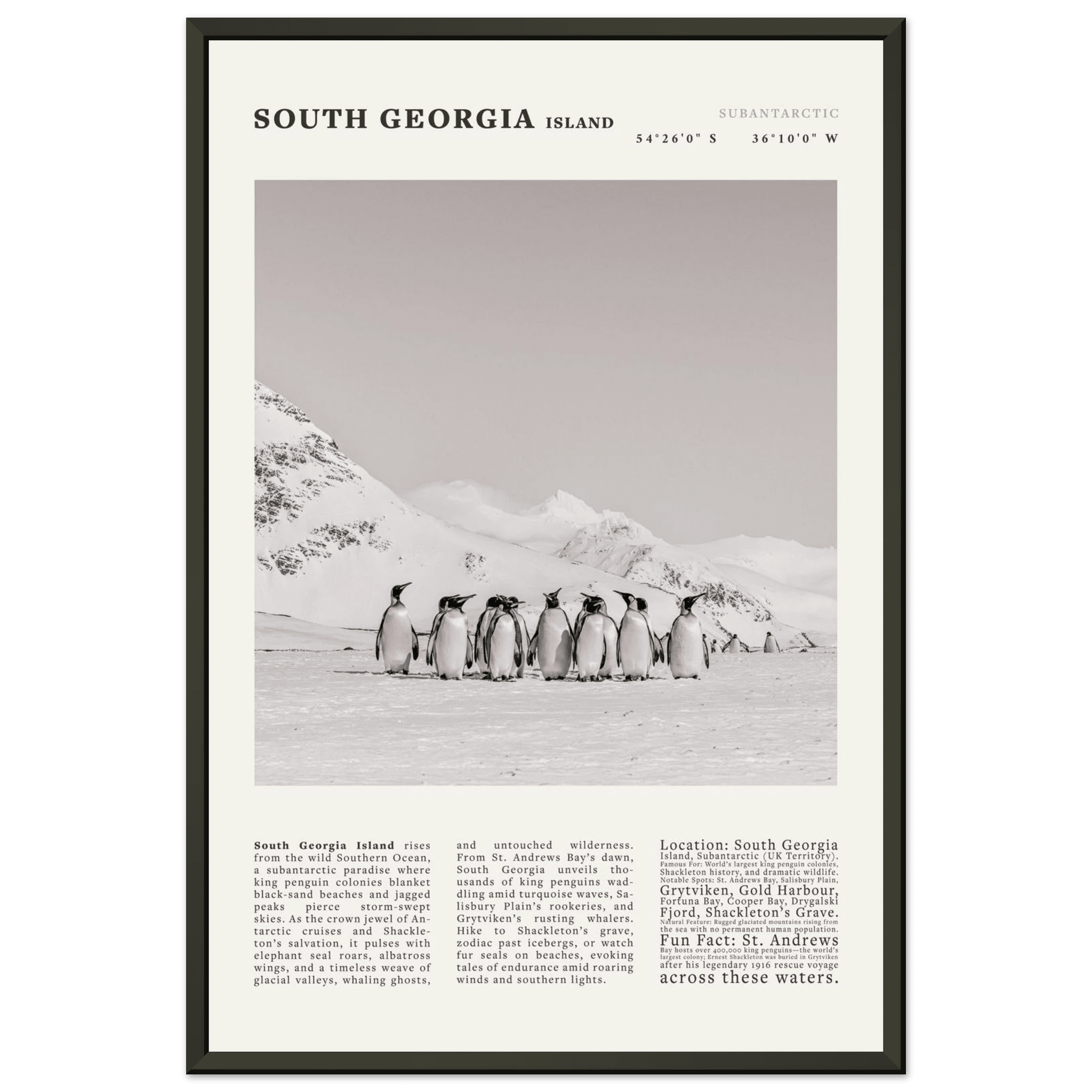 South Georgia Island Black and White Vintage Poster - Evergreen Posters