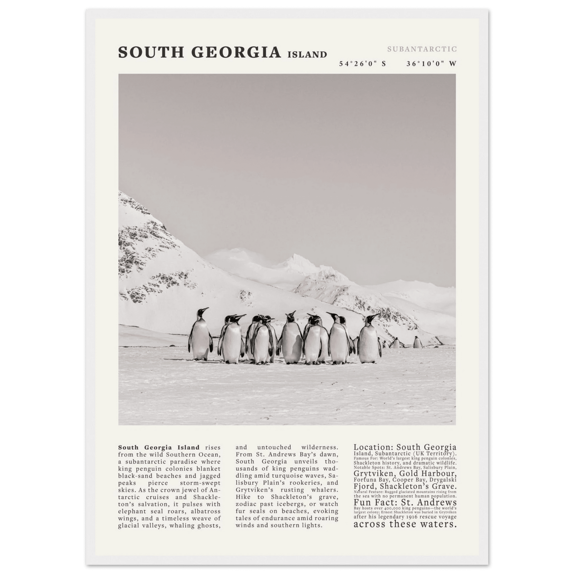 South Georgia Island Black and White Vintage Poster - Evergreen Posters