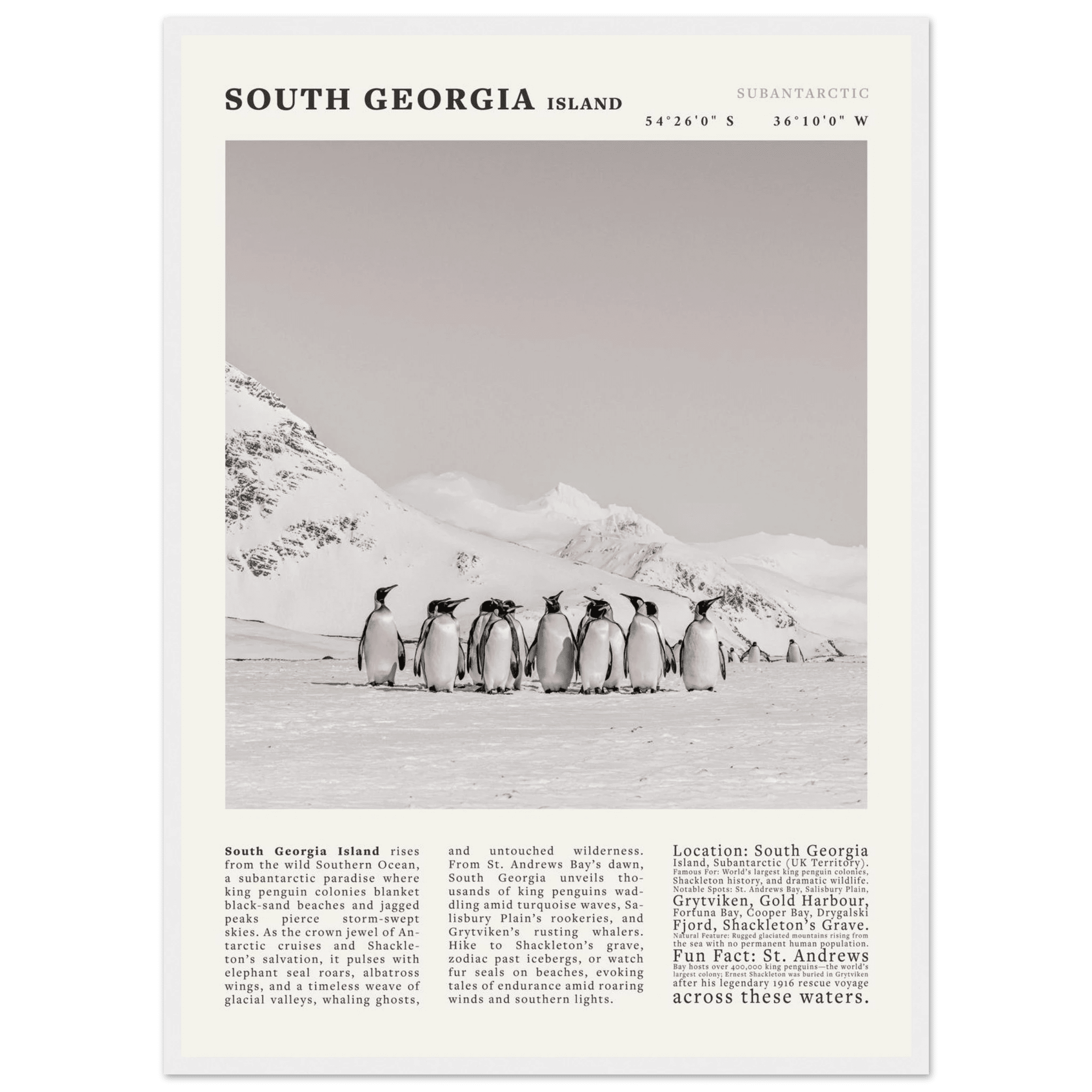 South Georgia Island Black and White Vintage Poster - Evergreen Posters