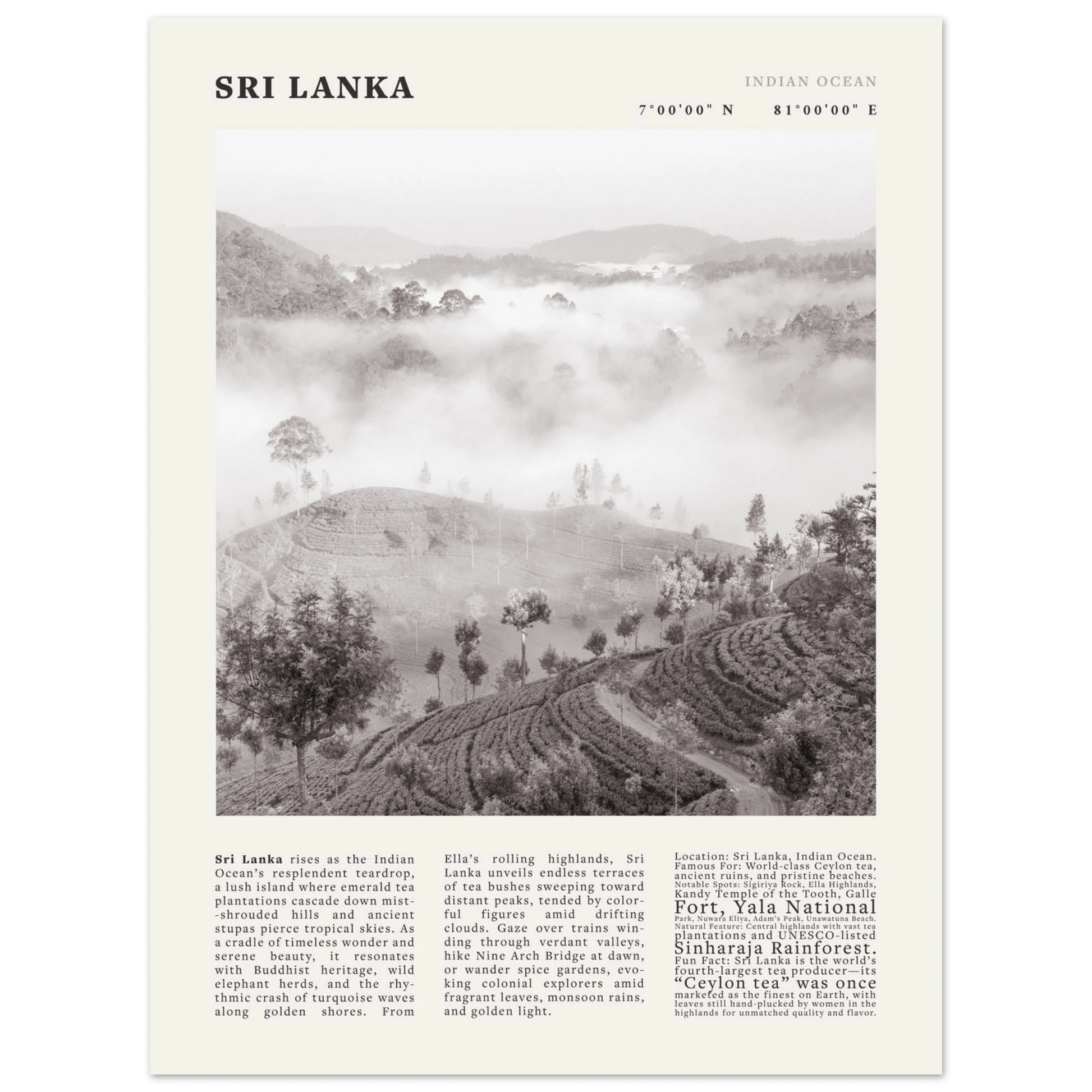 Sri Lanka Poster Black and White – Vintage Ceylon Tea Plantation Print (Digital & Printed Options) - Evergreen Posters