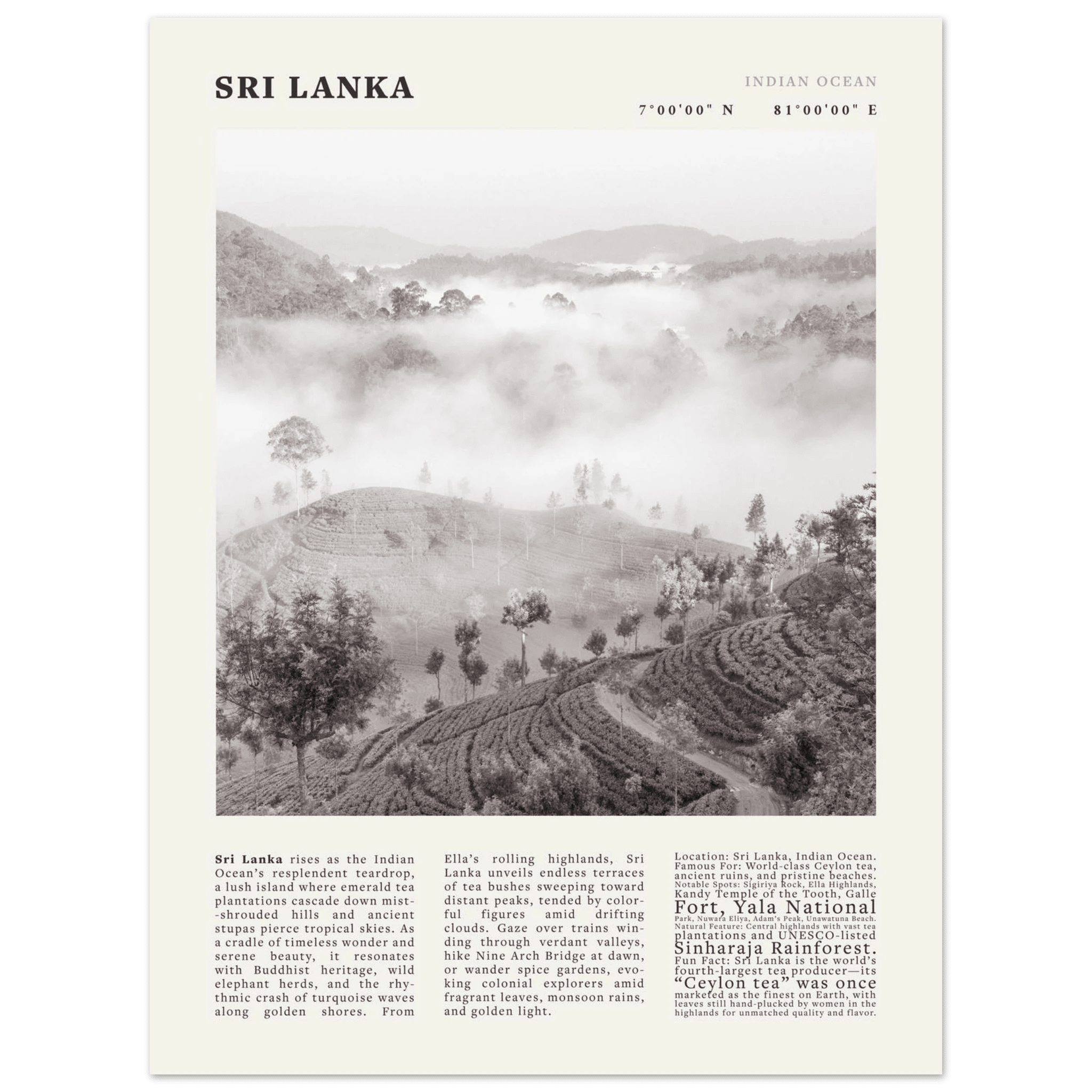 Sri Lanka Poster Black and White – Vintage Ceylon Tea Plantation Print (Digital & Printed Options) - Evergreen Posters
